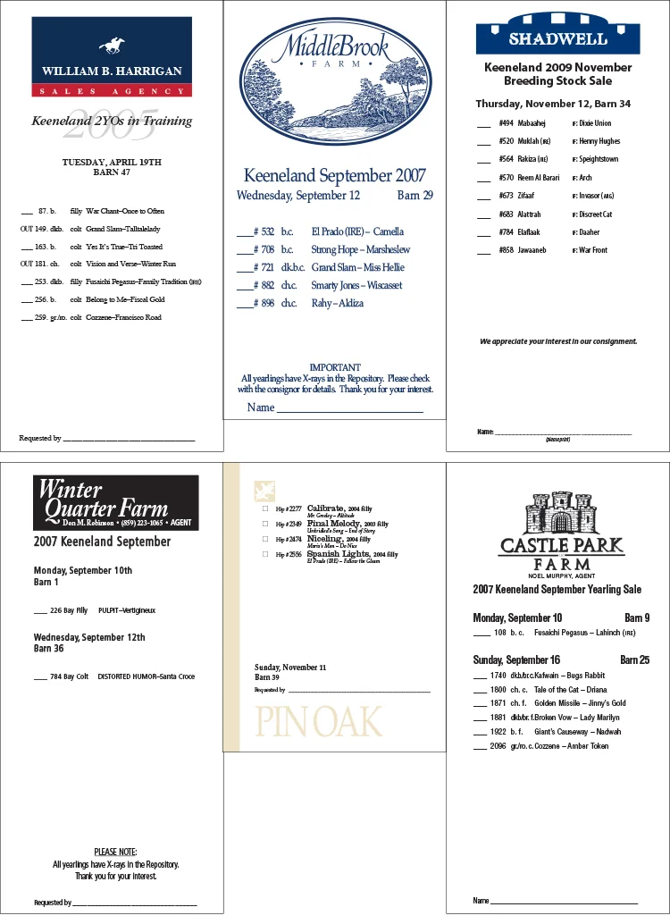calloutcards1.jpg