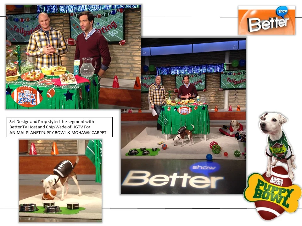 puppy bowl 1.jpg