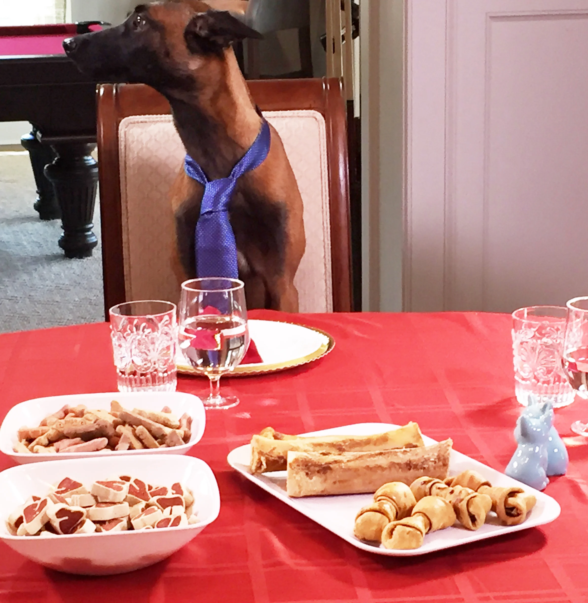 DOG DINNER 2.jpg