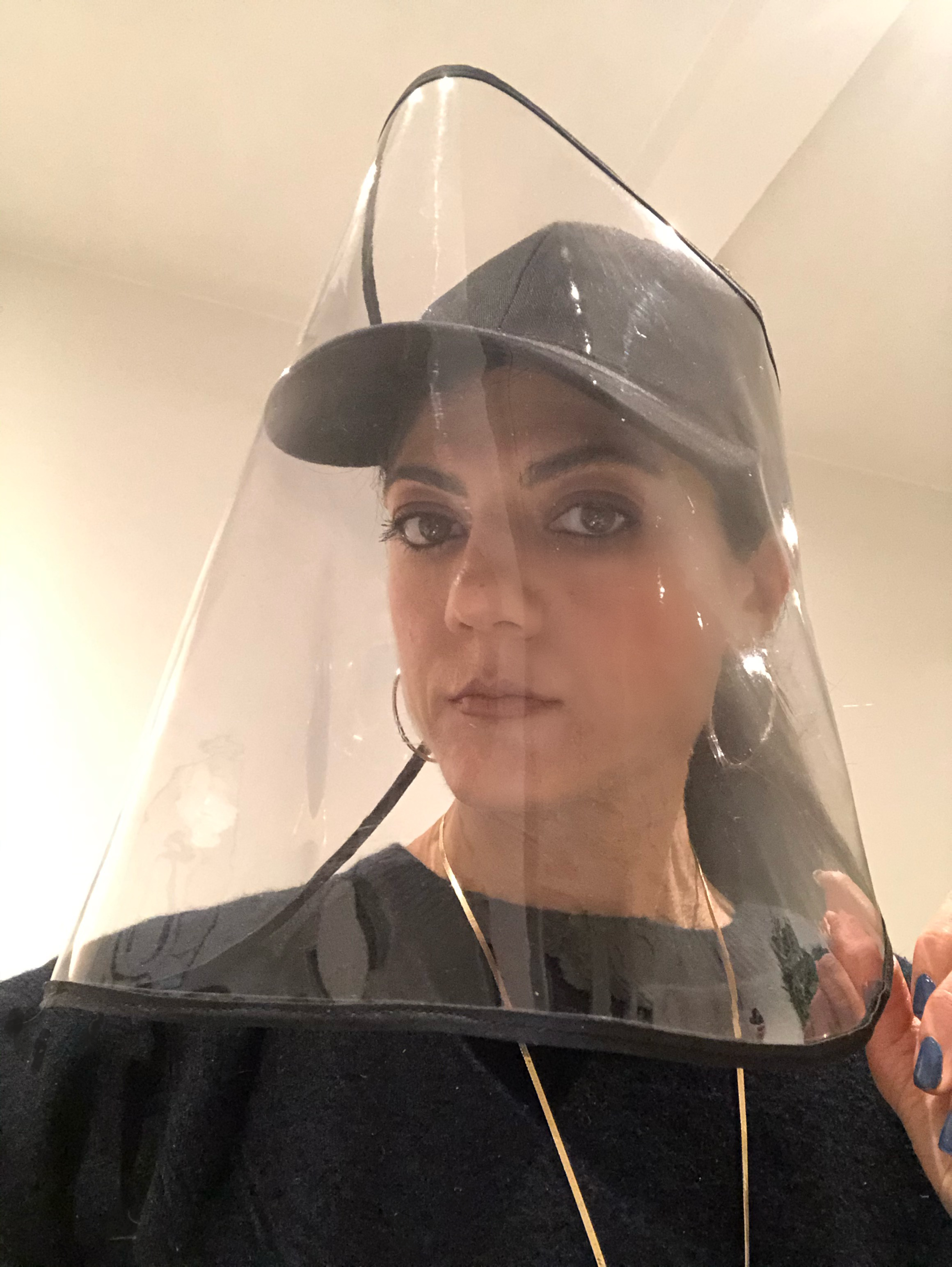 face shield 1 corona.png