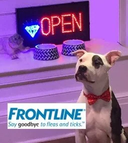 ( VIDEOS ) FRONTLINE - 