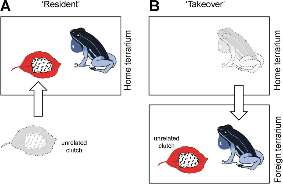 From: http://www.nature.com/articles/srep43544#s1