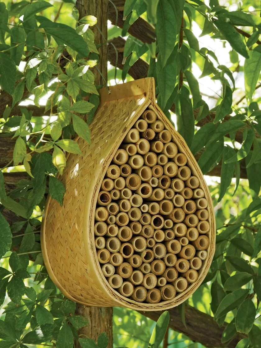 Mason bee house for sale from gardening shops