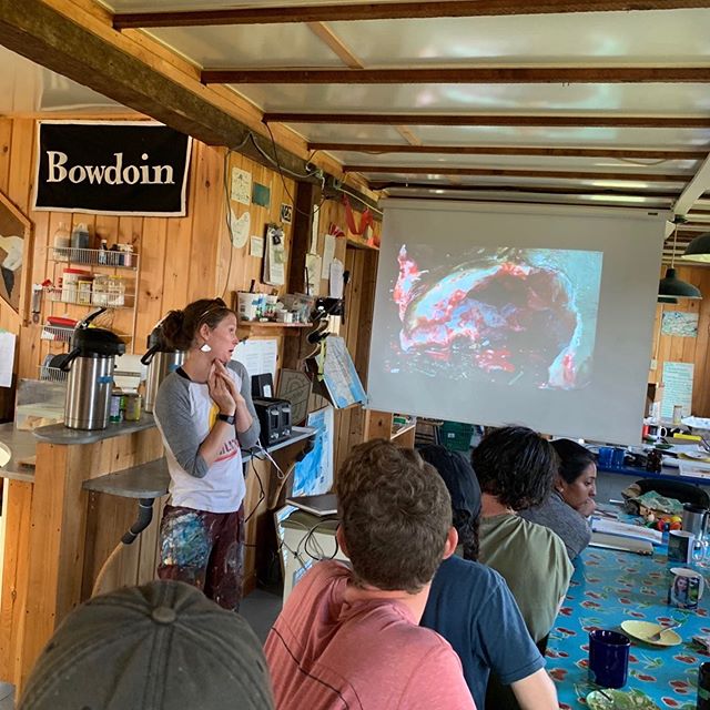 We loved having artist Hallie Mueller our here last week, she brought a new way of viewing the world with her. #scienceandart #bsskentisland