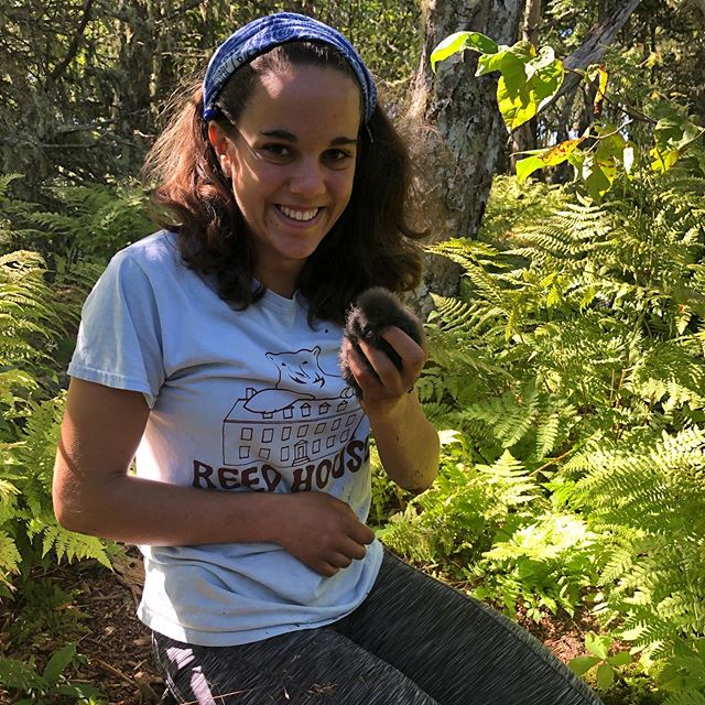 We had a great trip to Kent Island this last week. Thanks to three 2018 Kent Islanders for the help banding storm petrel chicks! #leachsstormpetrel #fieldbiology