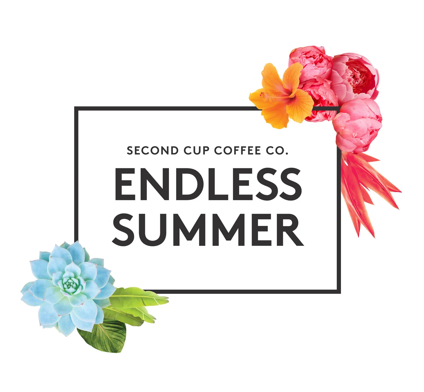 Postcard_Mockup_LogoOnly_2.jpg