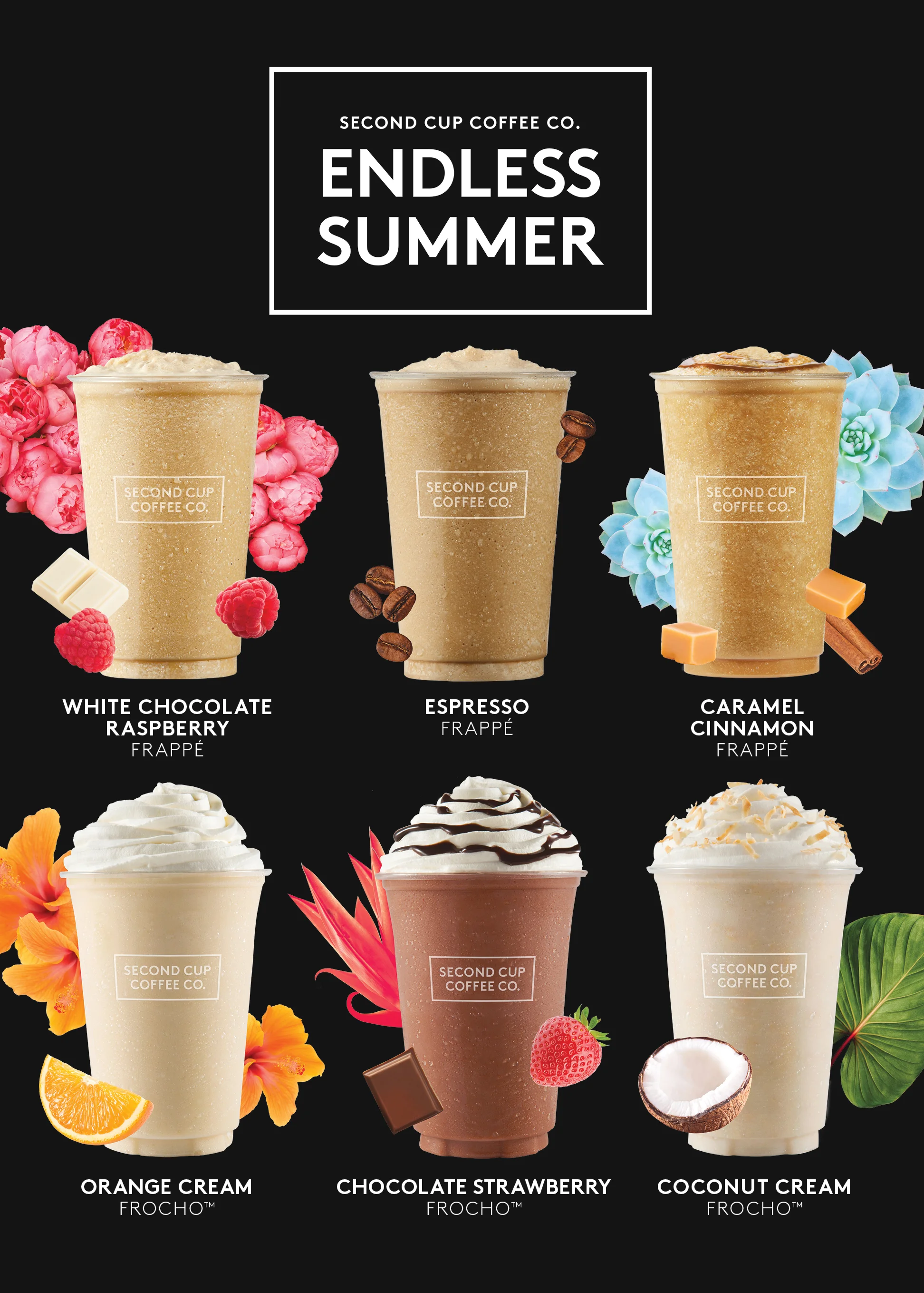 SC-CAM6063_ES_6Blended_PromoPanel_IS_27x37.75_E copy.jpg