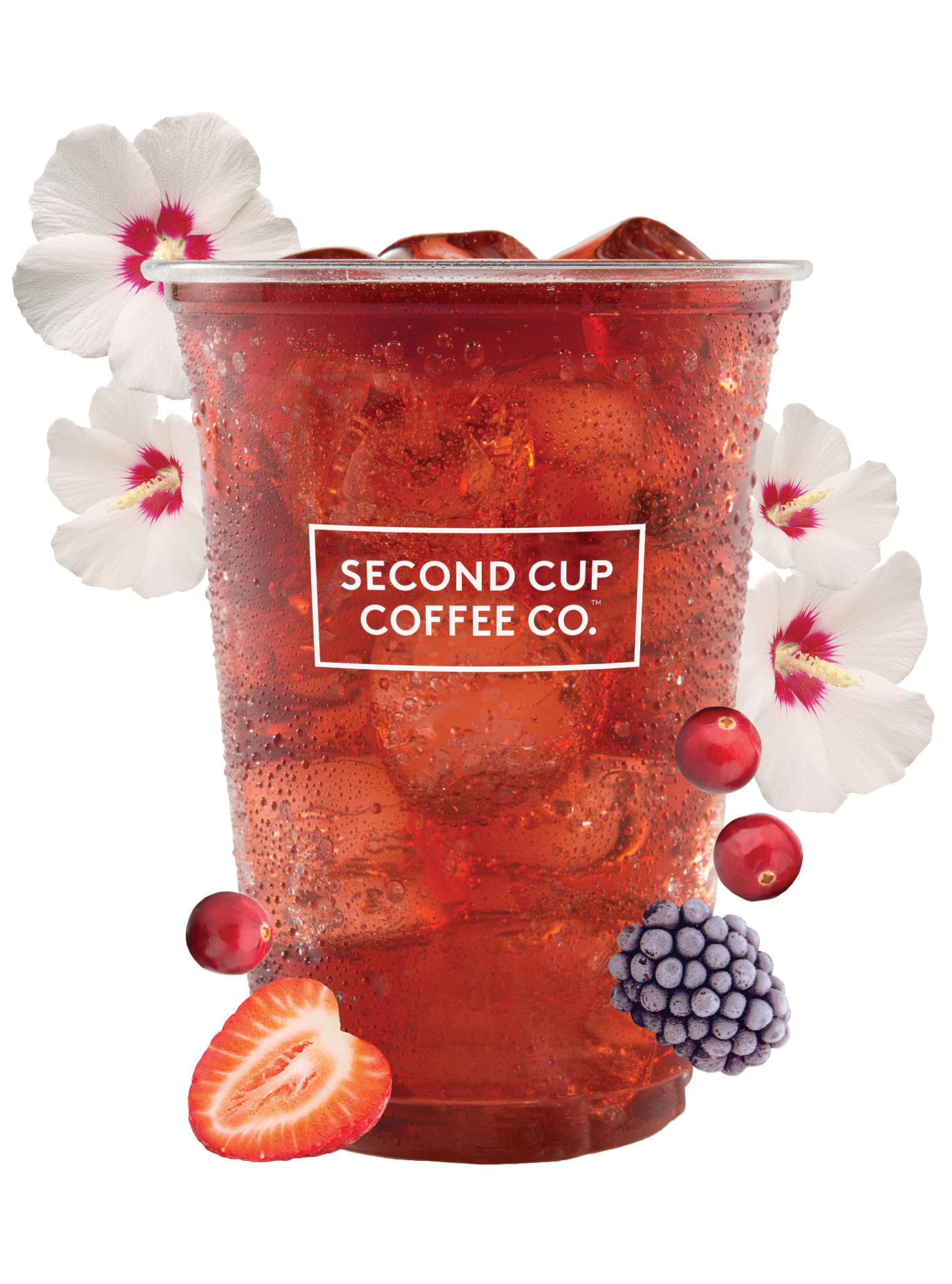 SC-CAM6064_EndlessSummer_WindowClings_19.125x27.5-E_NonTranslucent_ForWeb3 copy.jpg