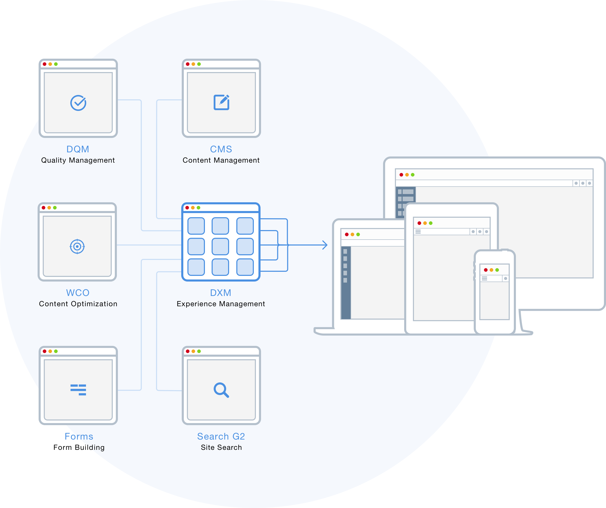 Strategy Experience Management (Copy)