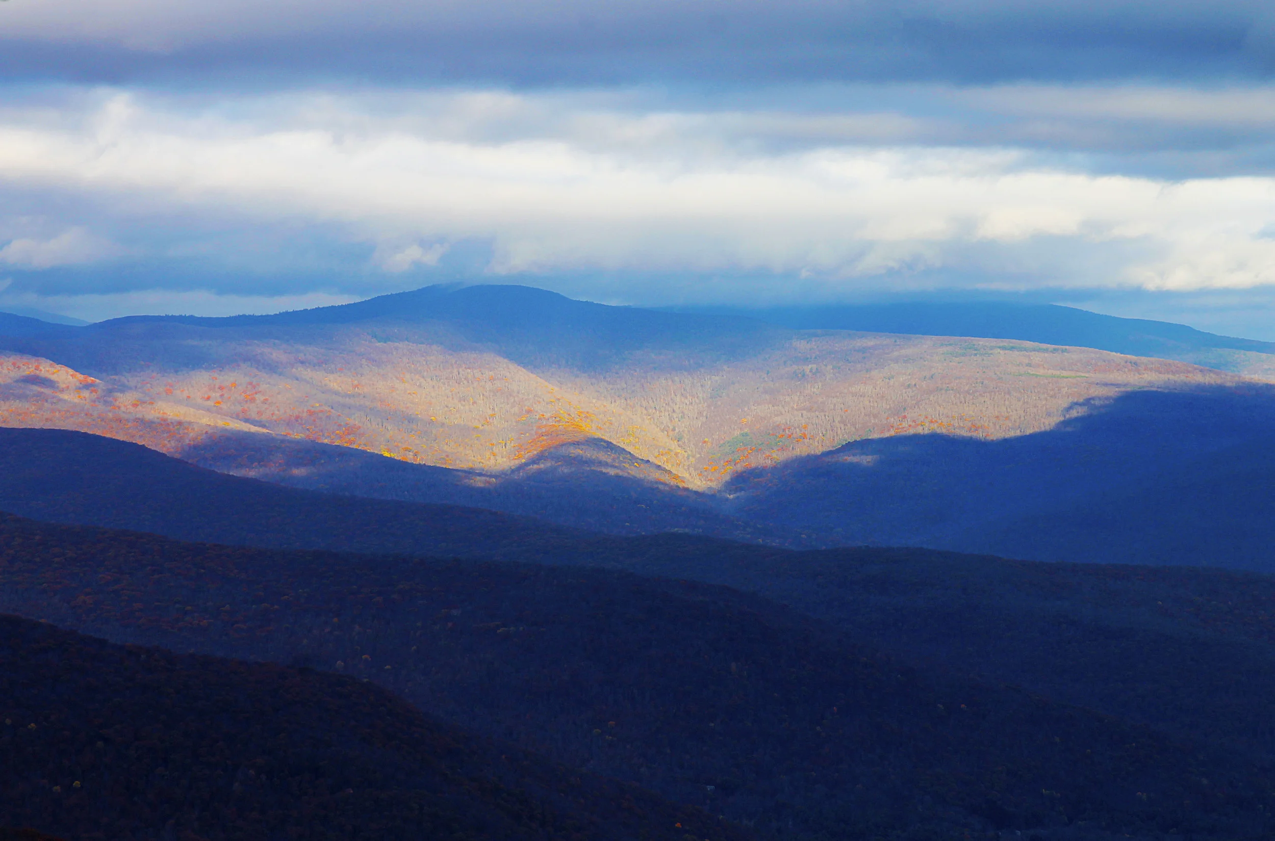 _MG_0104.jpg