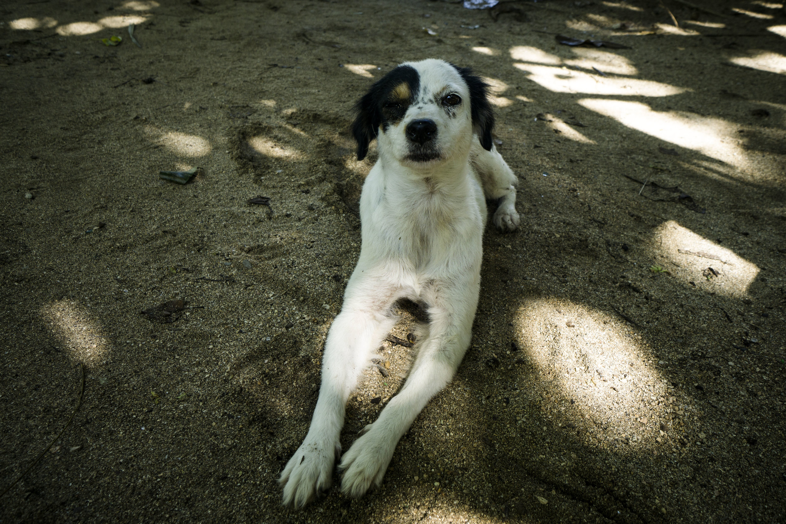 DSC09142.jpg