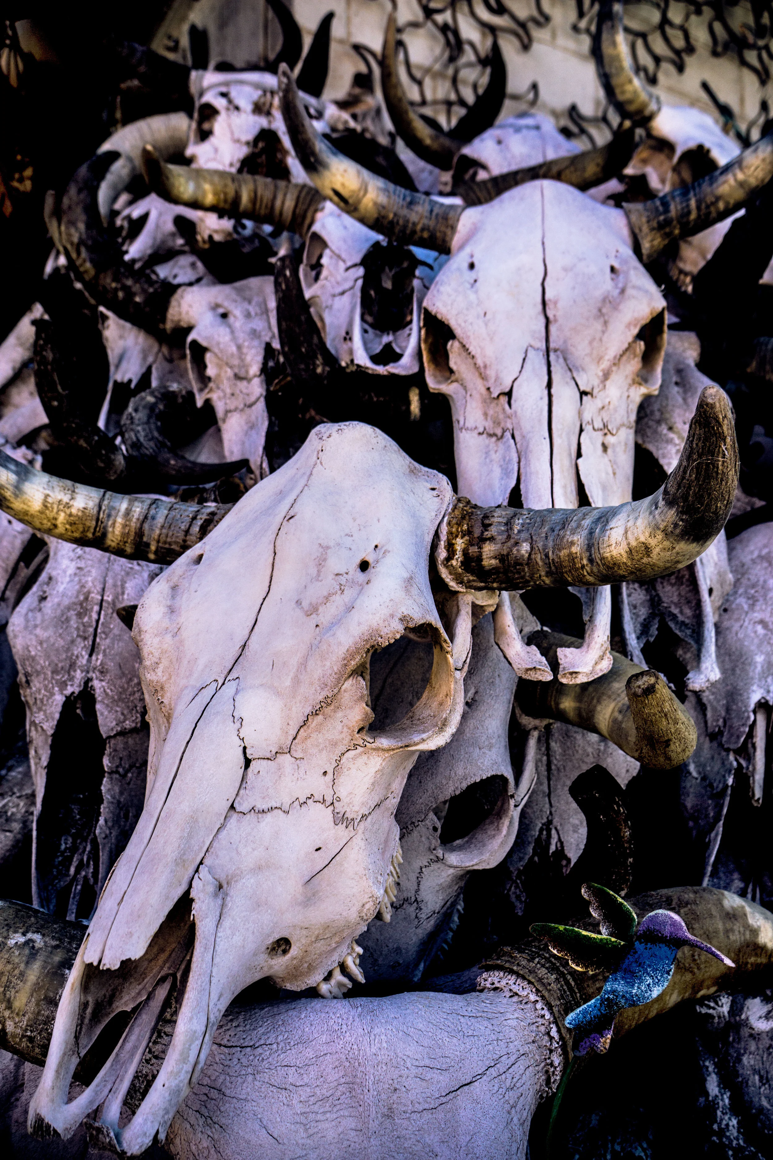 vickygood_photography_travel_skulls.jpg