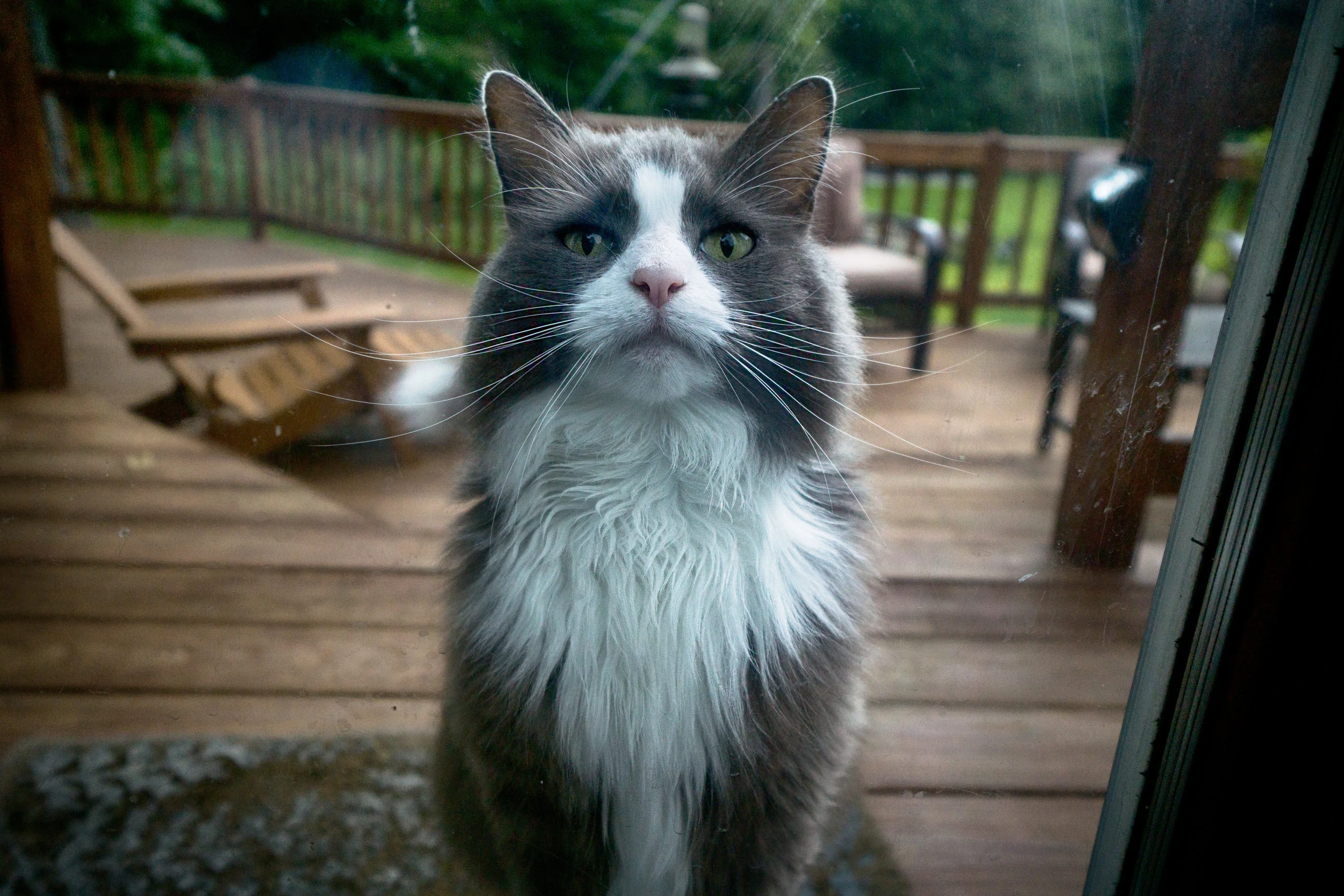 vickygood_photography_VT6.jpg