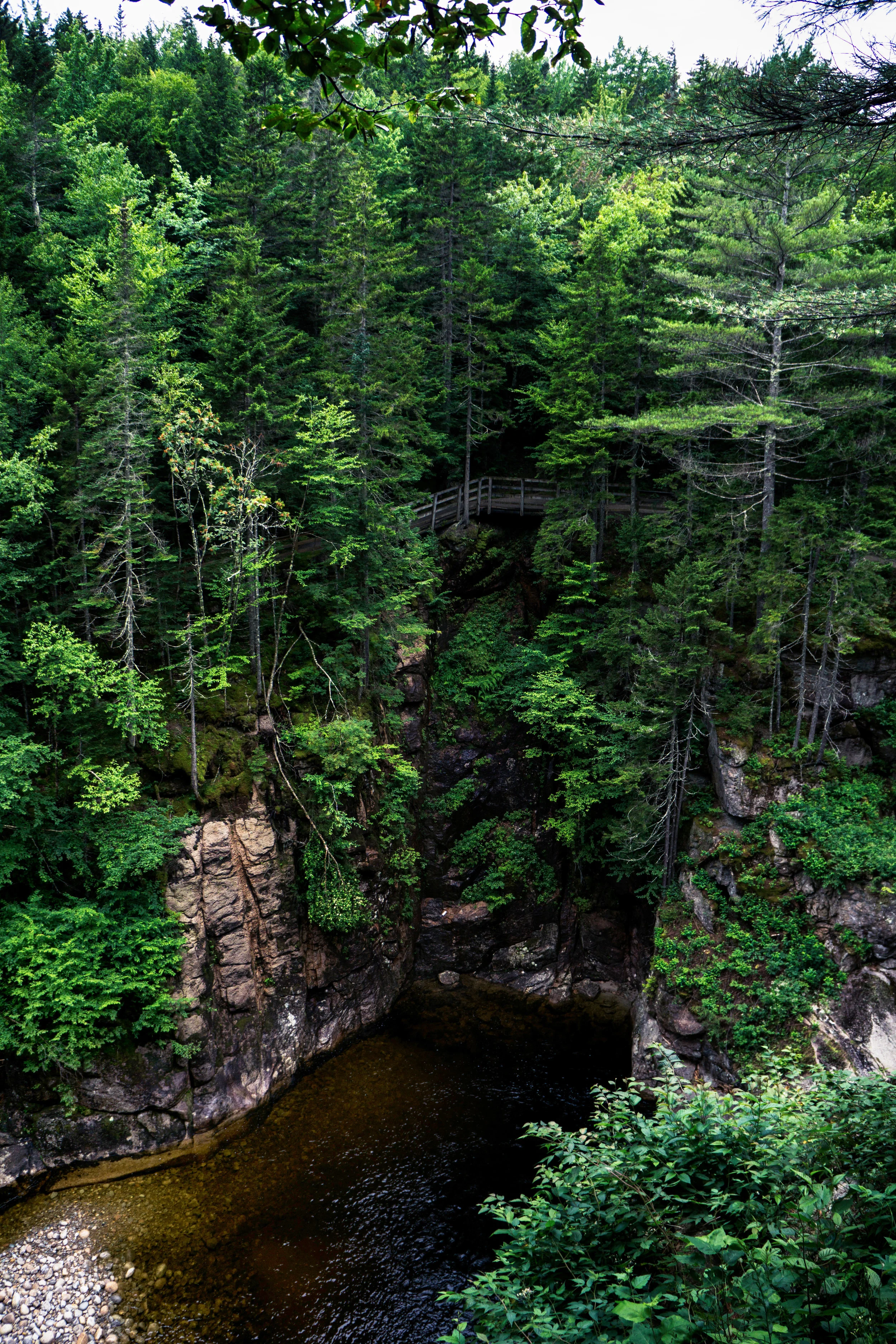 vickygood_photography_VT4.jpg