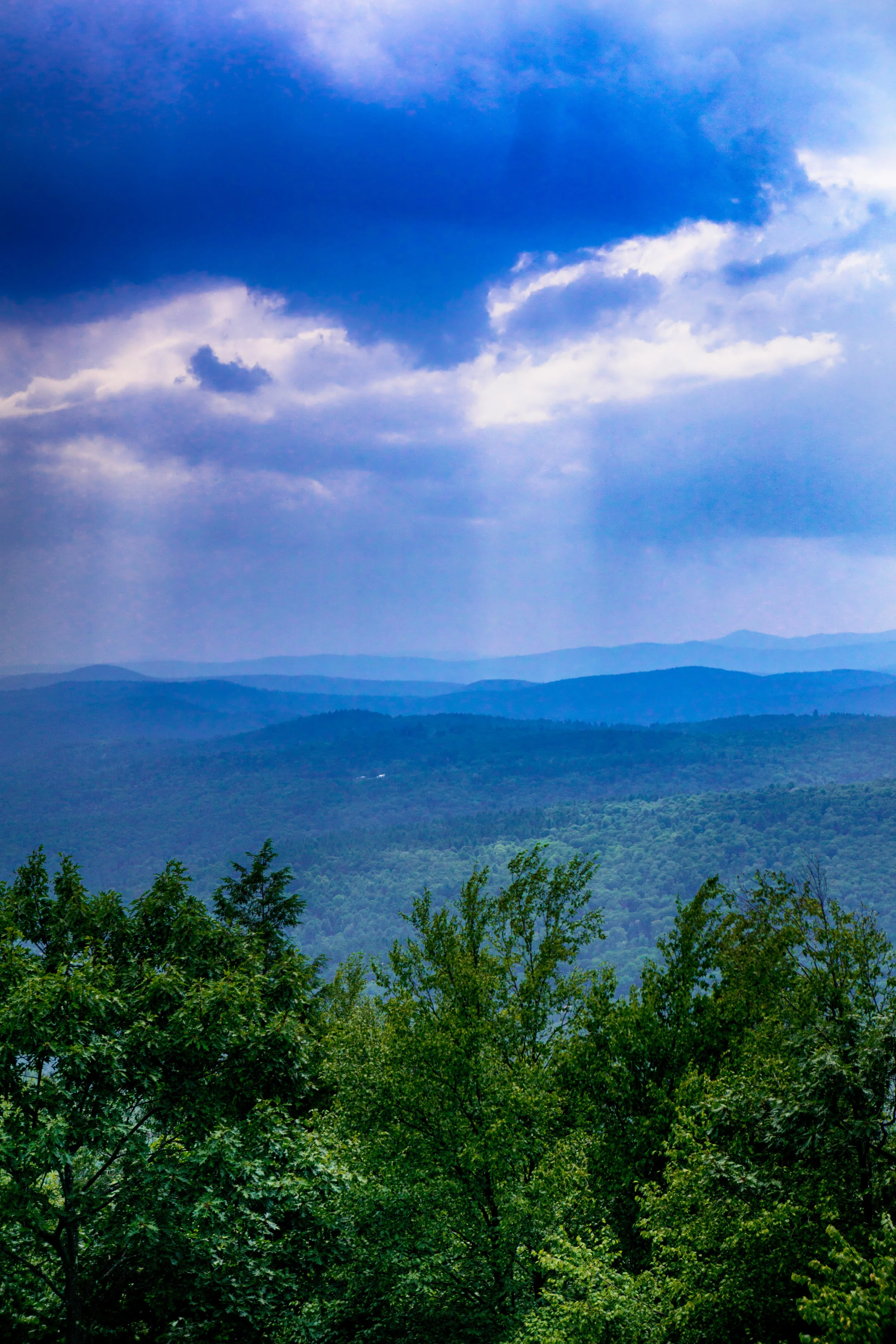 vickygood_photography_VT17.jpg