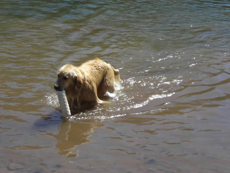 DSCN0535.jpg
