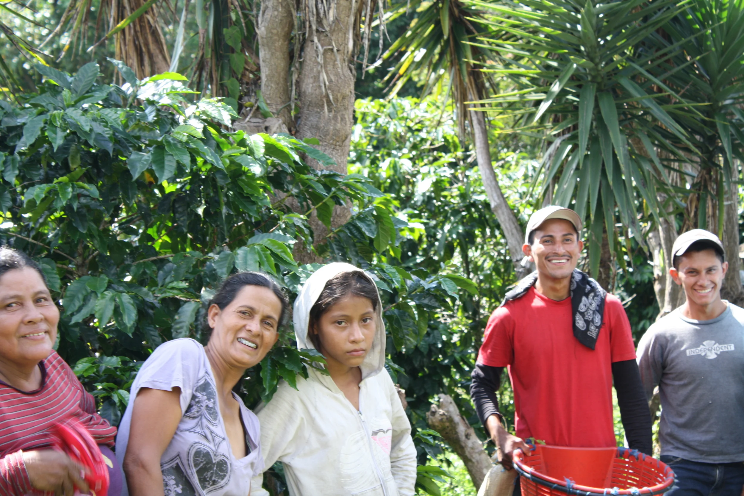 the most important part of coffee: the people! all smiles (almost) under the costa rican sun. these faces are perhaps what I will remember most from my stay in the coffee farm. el roble de heredia, costa rica.