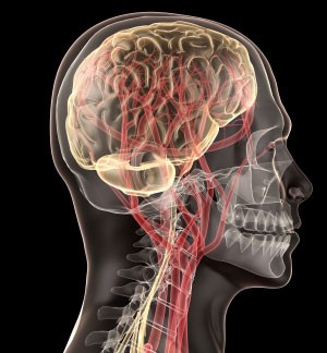 The complexity of the nervous system makes the proposed procedure risky.