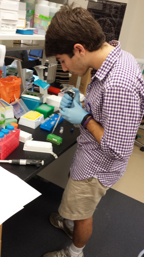 Daniel Zeitouni, cofounder of Purple Mission at UNC and undergraduate research member of the Der Lab. Photo credit: Kirsten Bryant.