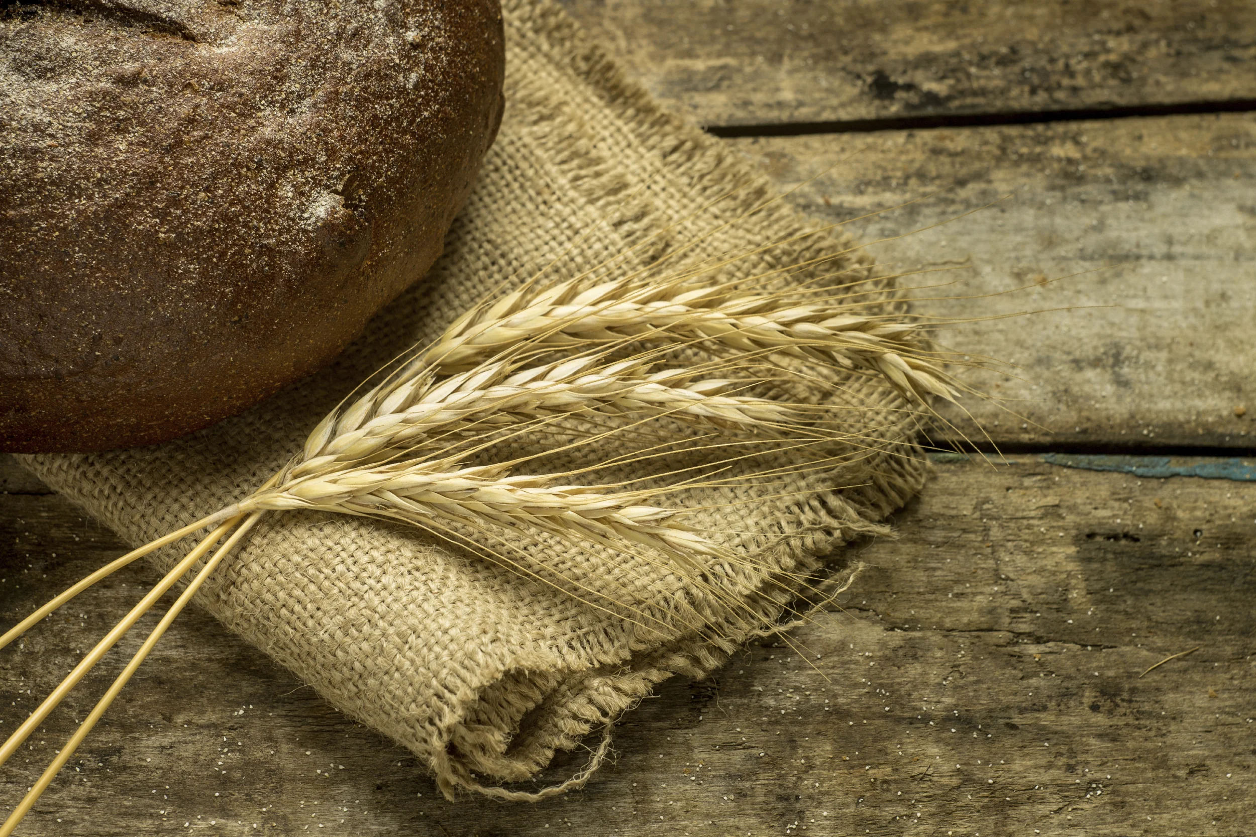 Did you eat a breakfast containing at least 7 grams of fiber?