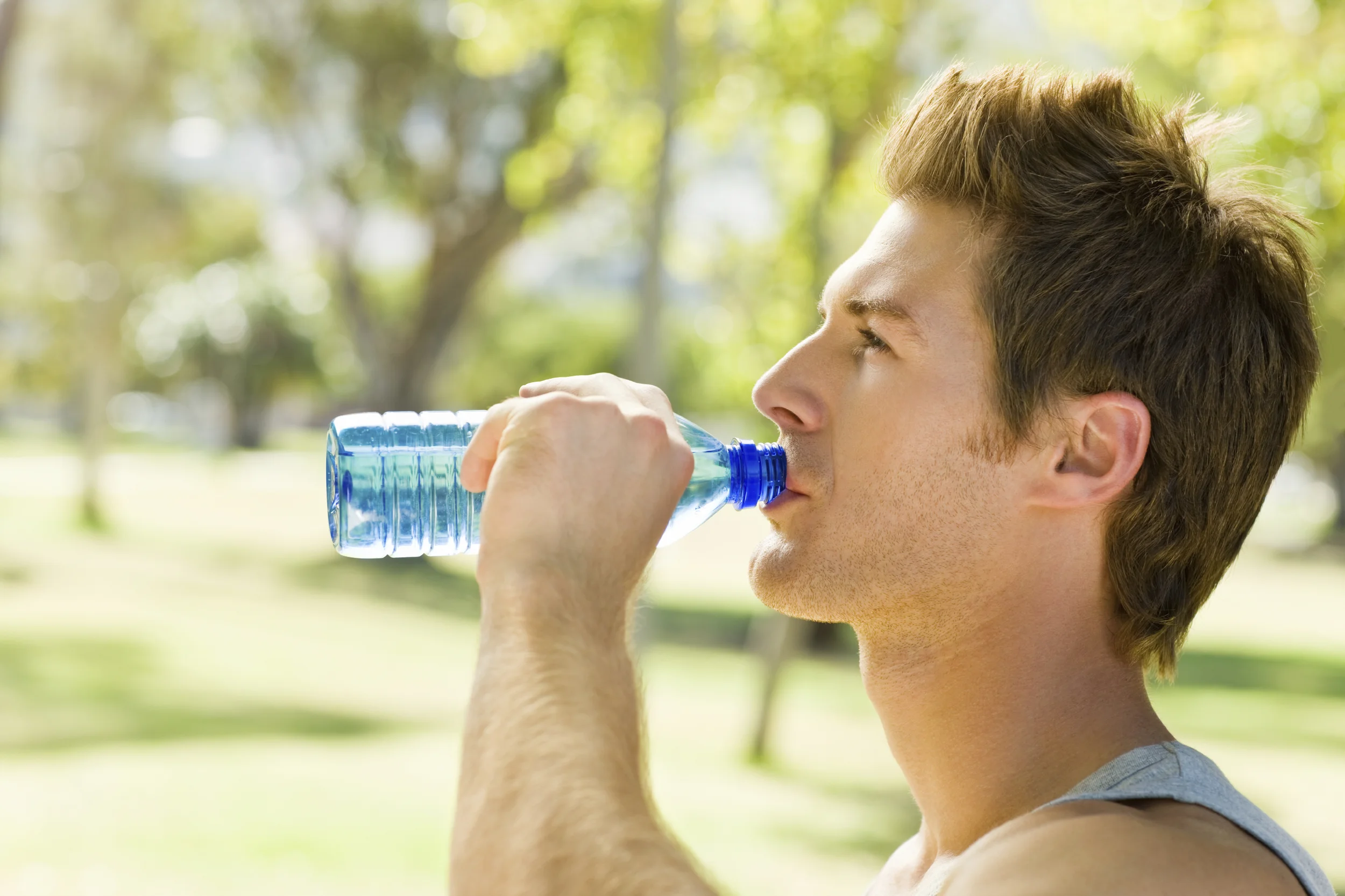 iStock_000008505479_Large.jpg