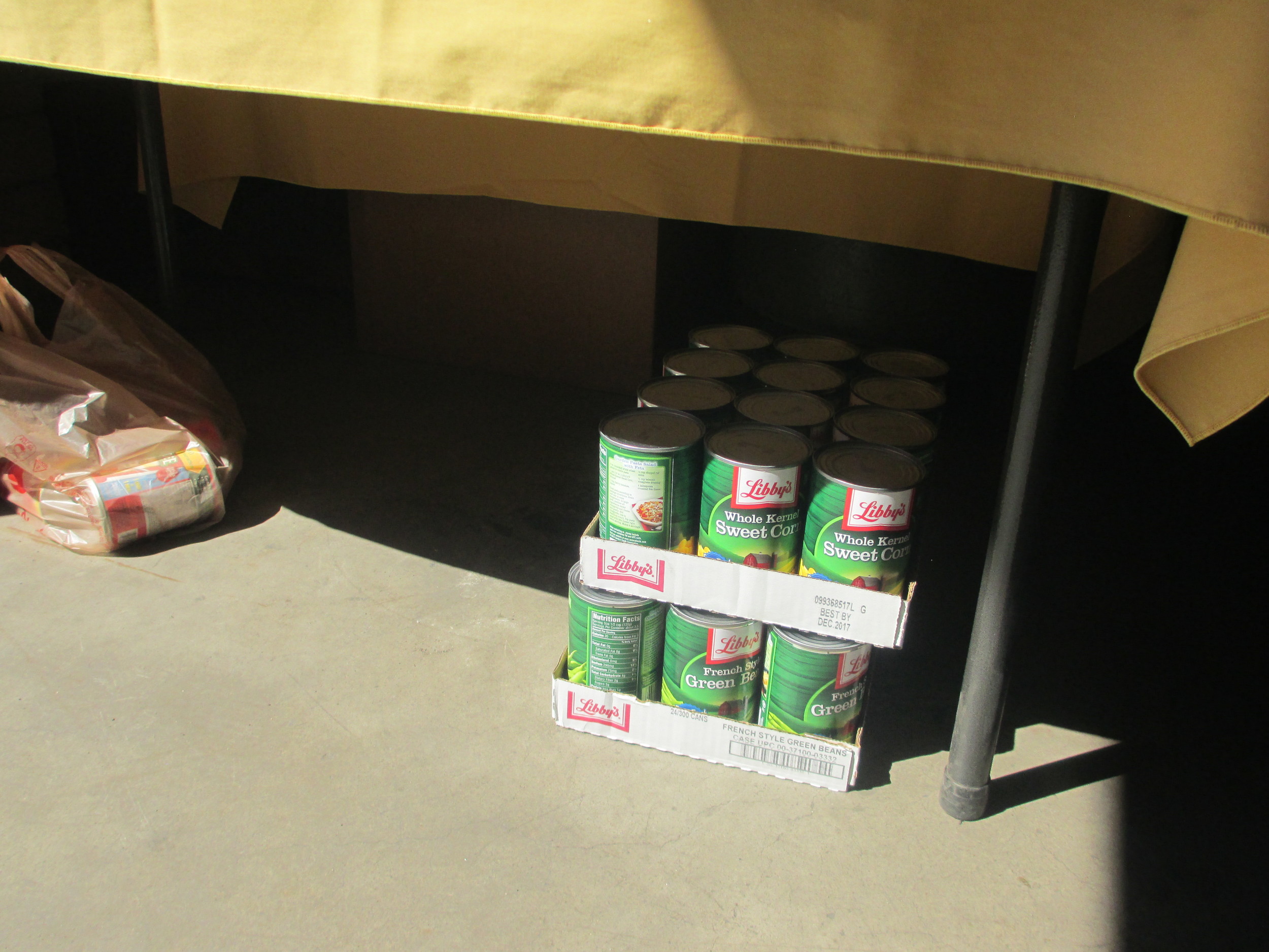 030 Mike's tech donated canned goods 3-28-15 011