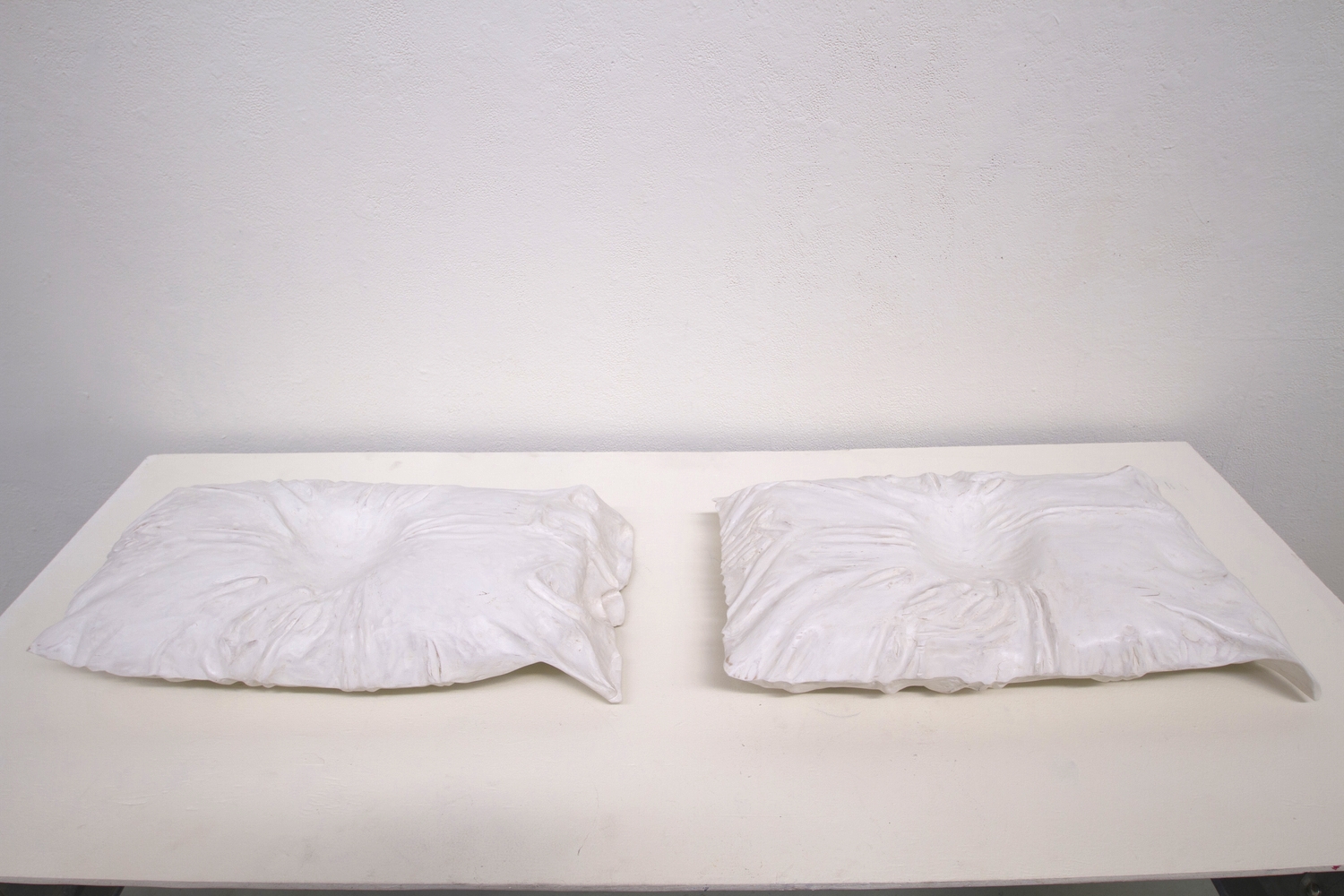 Pillow Sighted 24 hrs, Pillow Blinded 38 hrs Bass wood, each approx 24" x 18" x 6", 2014
