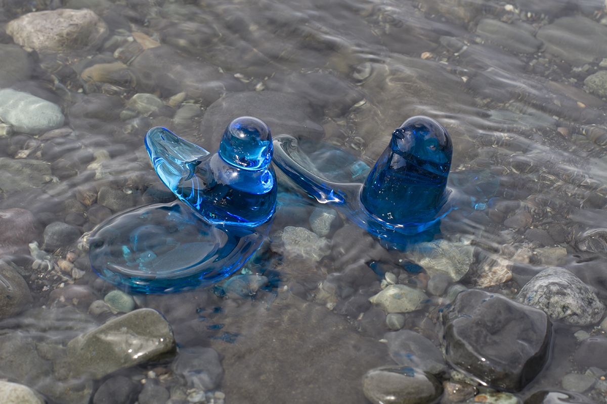 birdies_small.jpg