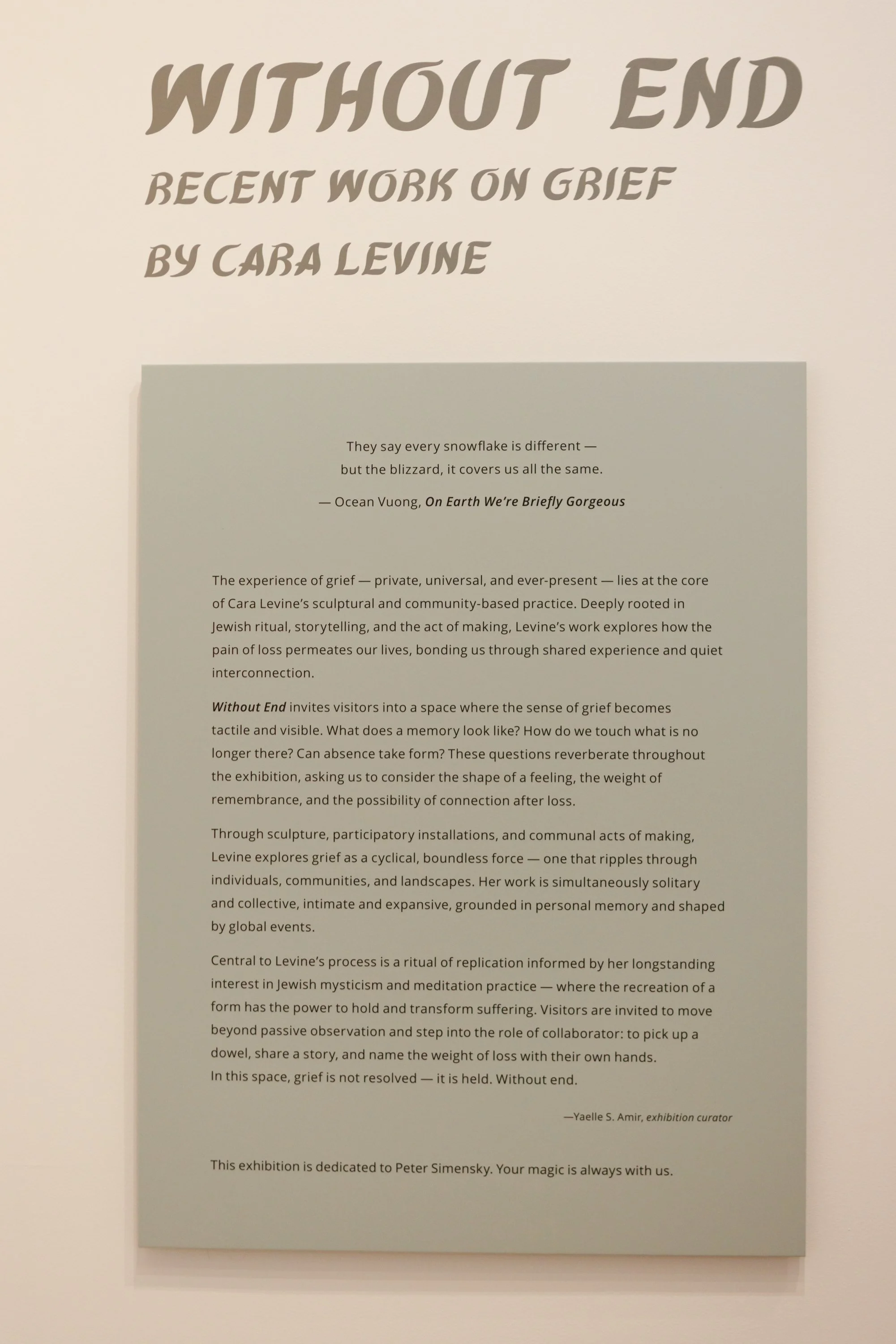 OJM-Cara Levine-Andrea Lonas Photography-129.jpg