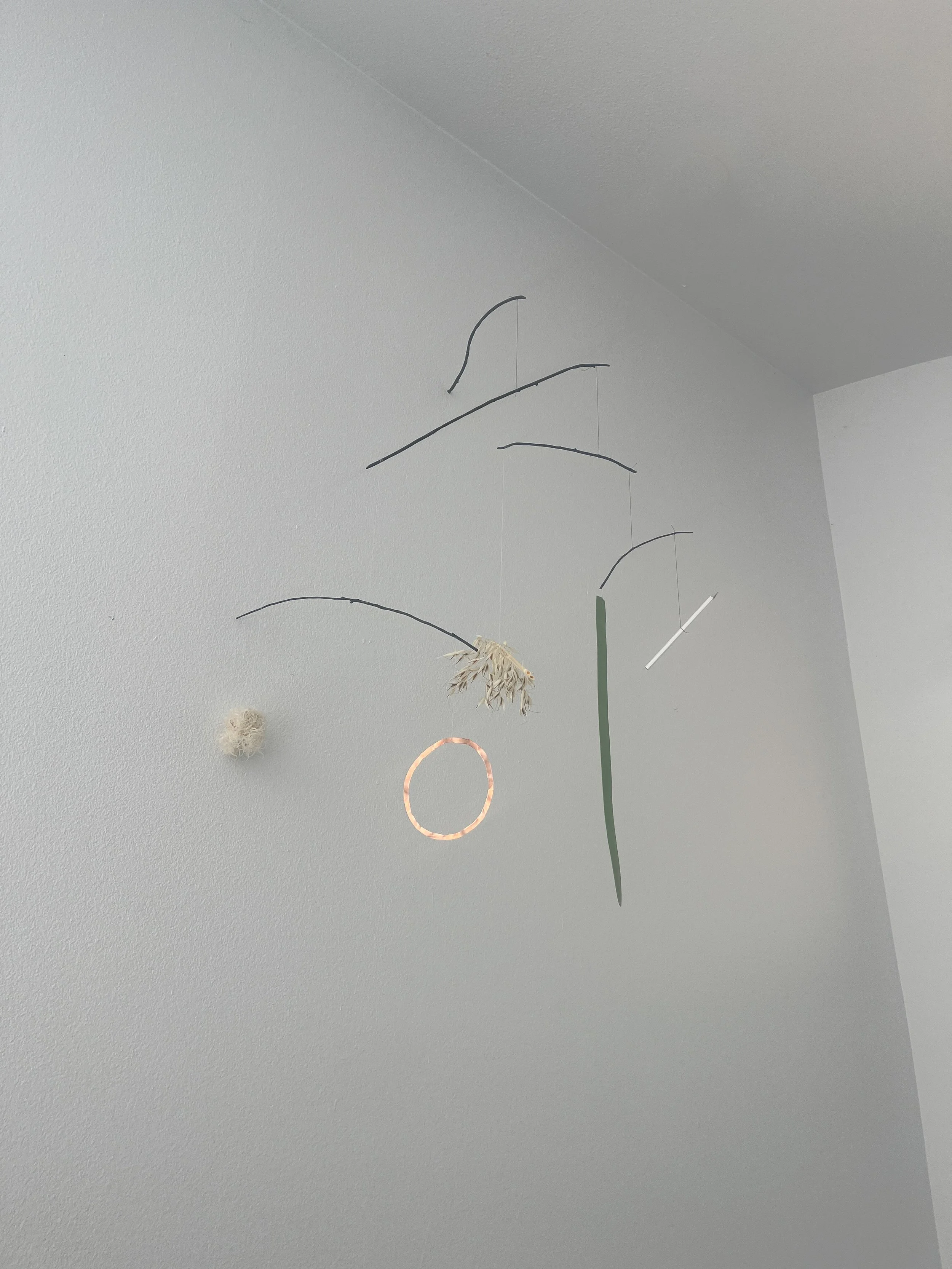 dream_catcher-.jpg