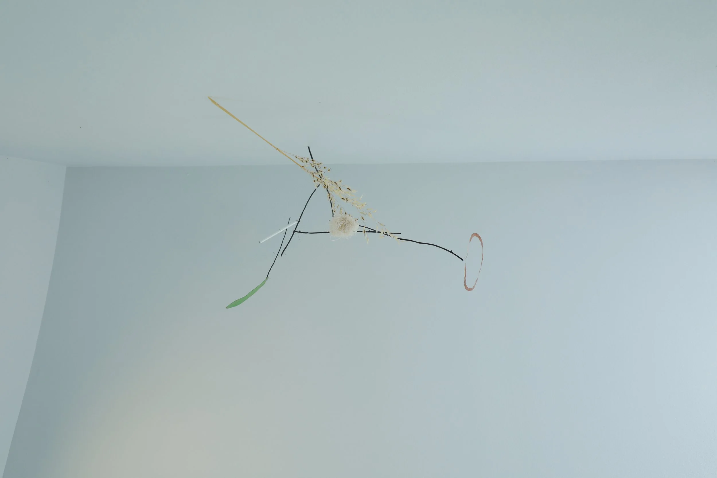 dream_catcher-1978.jpg