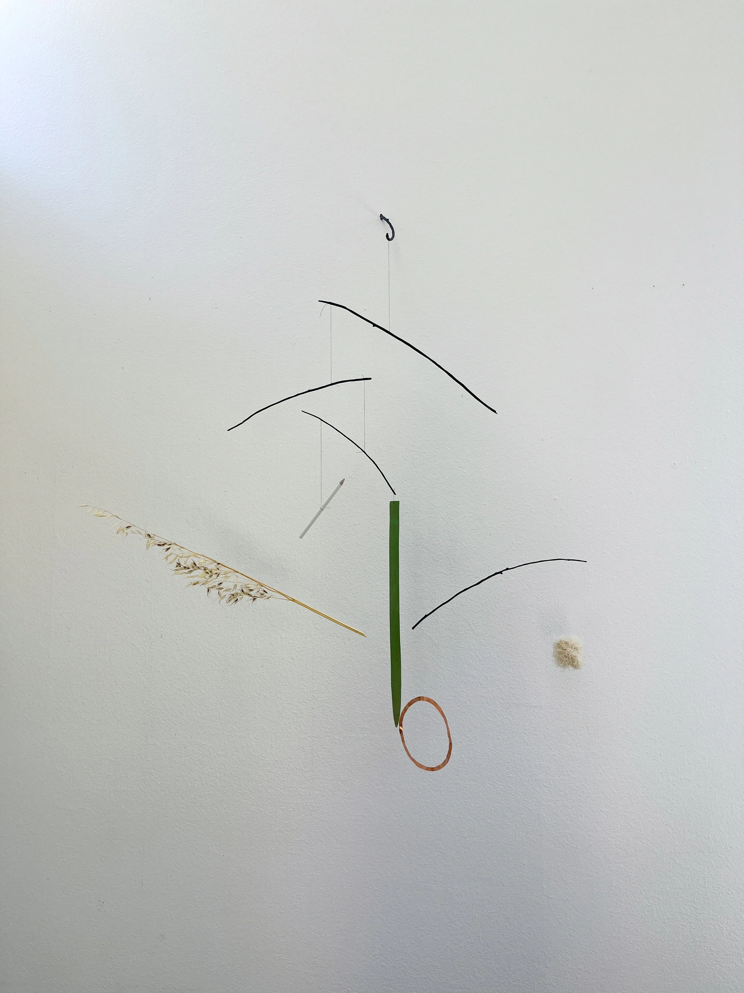 dream_catcher-2557.jpg