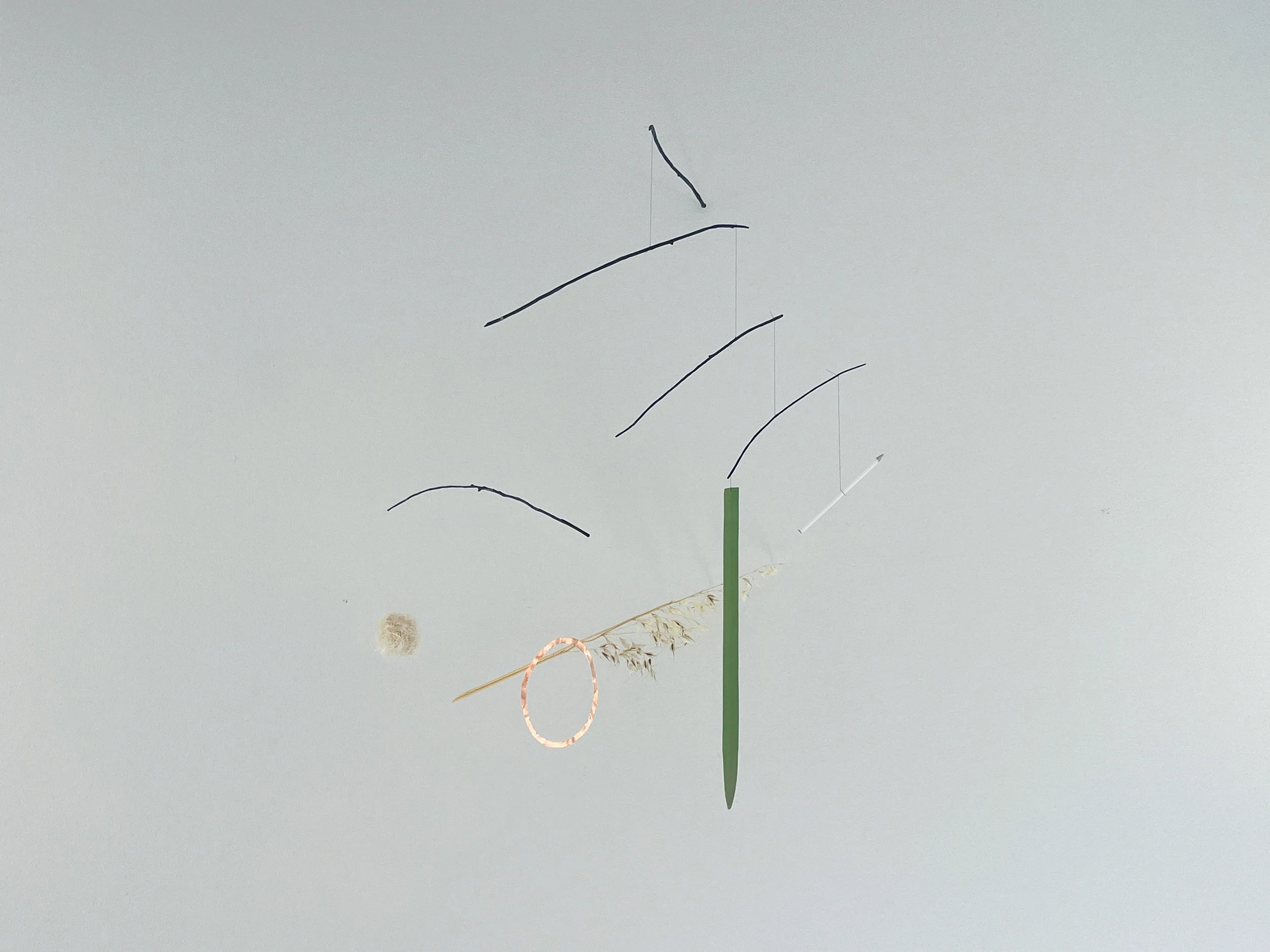 dream_catcher-2614.jpg