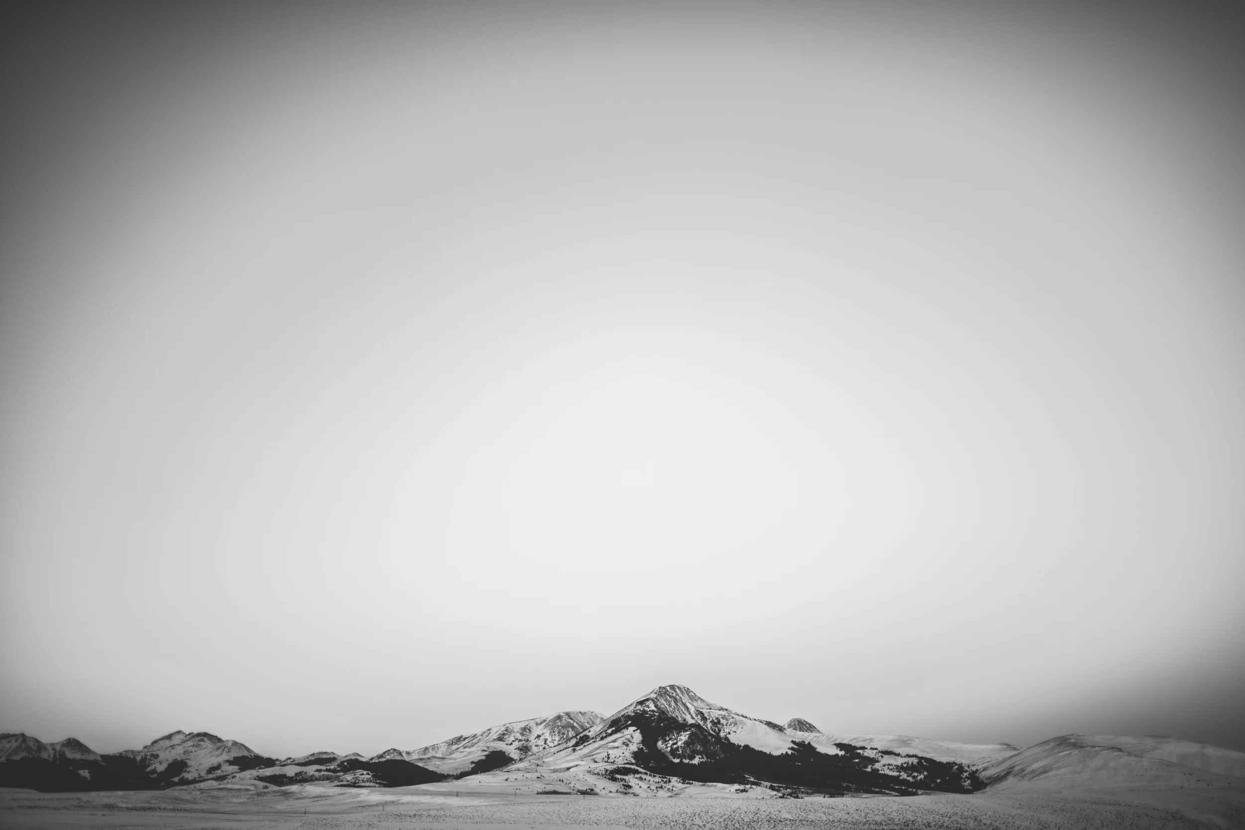 CCH_8356_1.jpg
