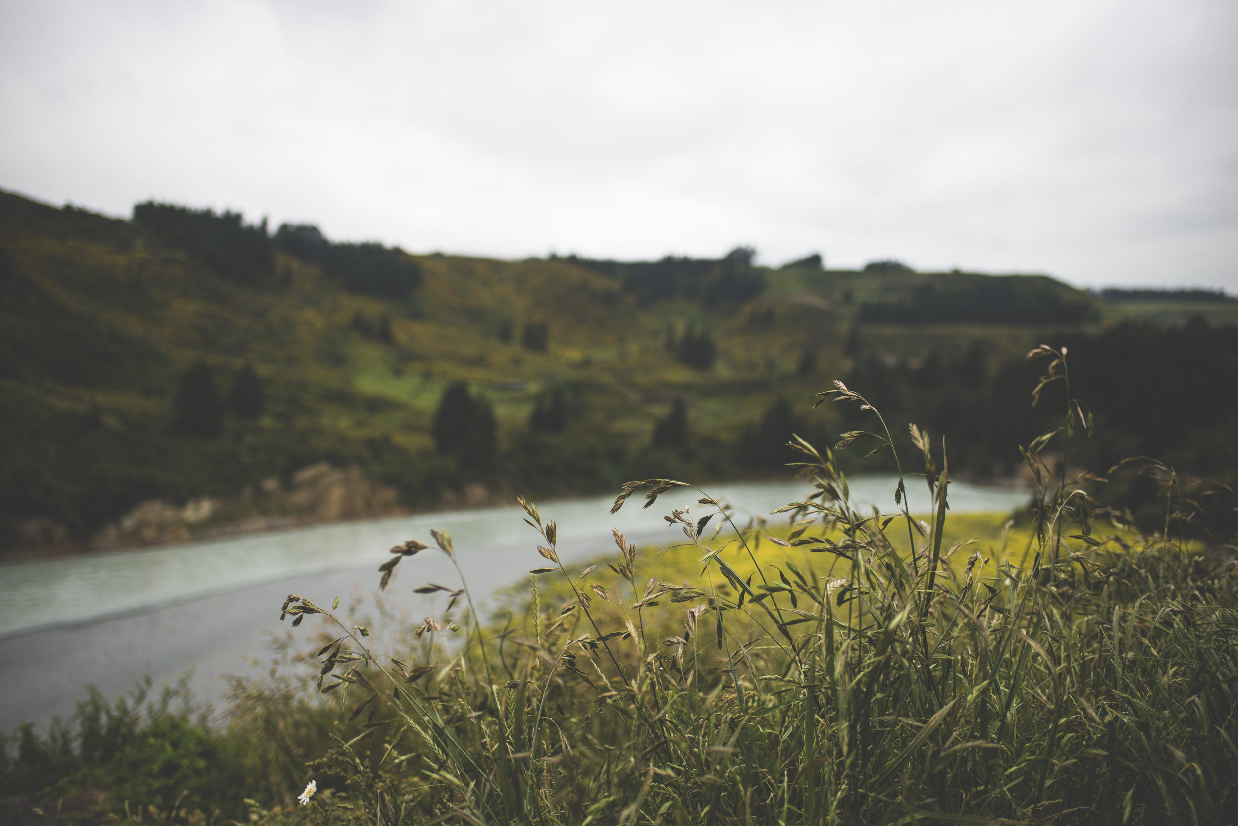 CCH_0022.jpg