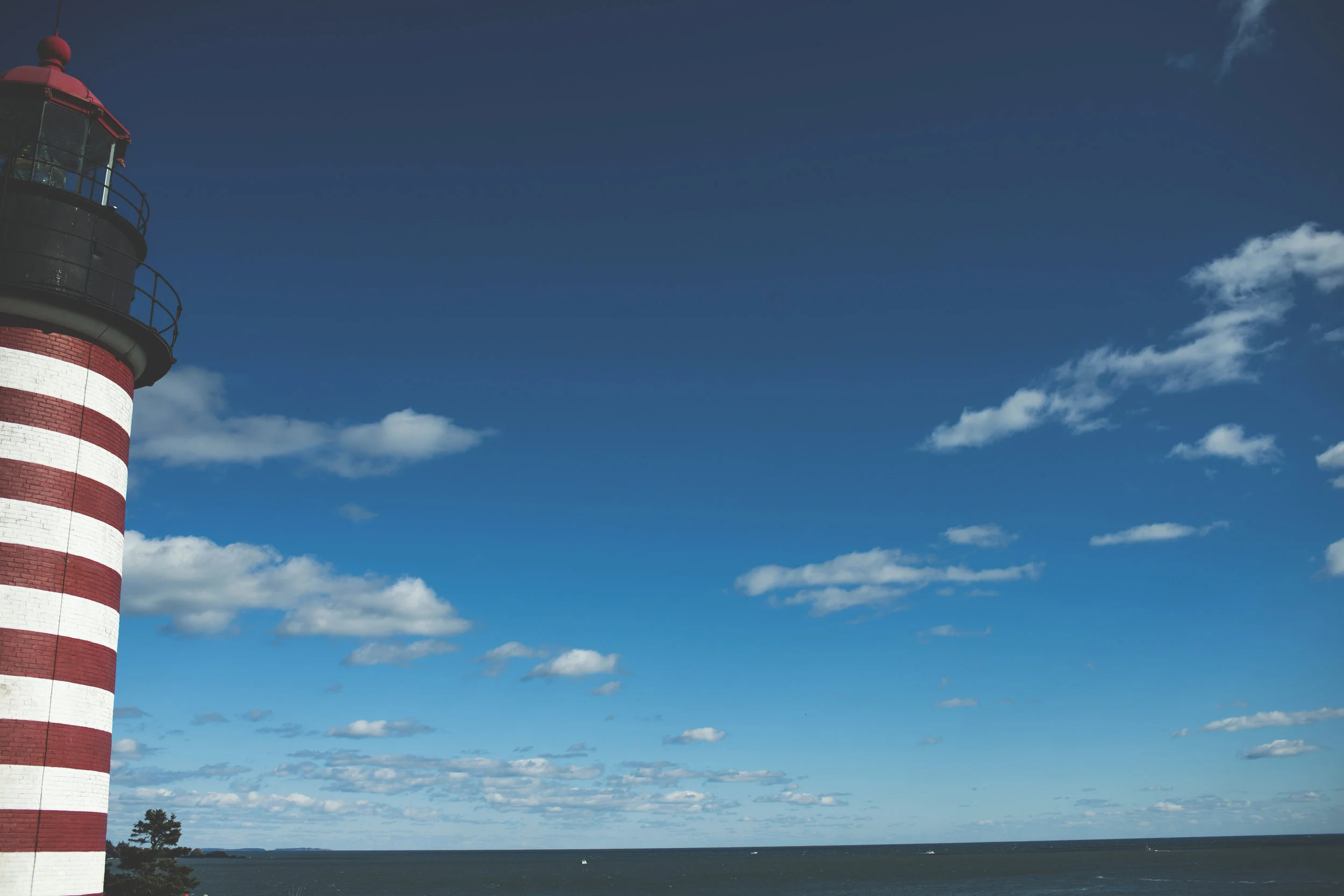 CCH_9808.jpg