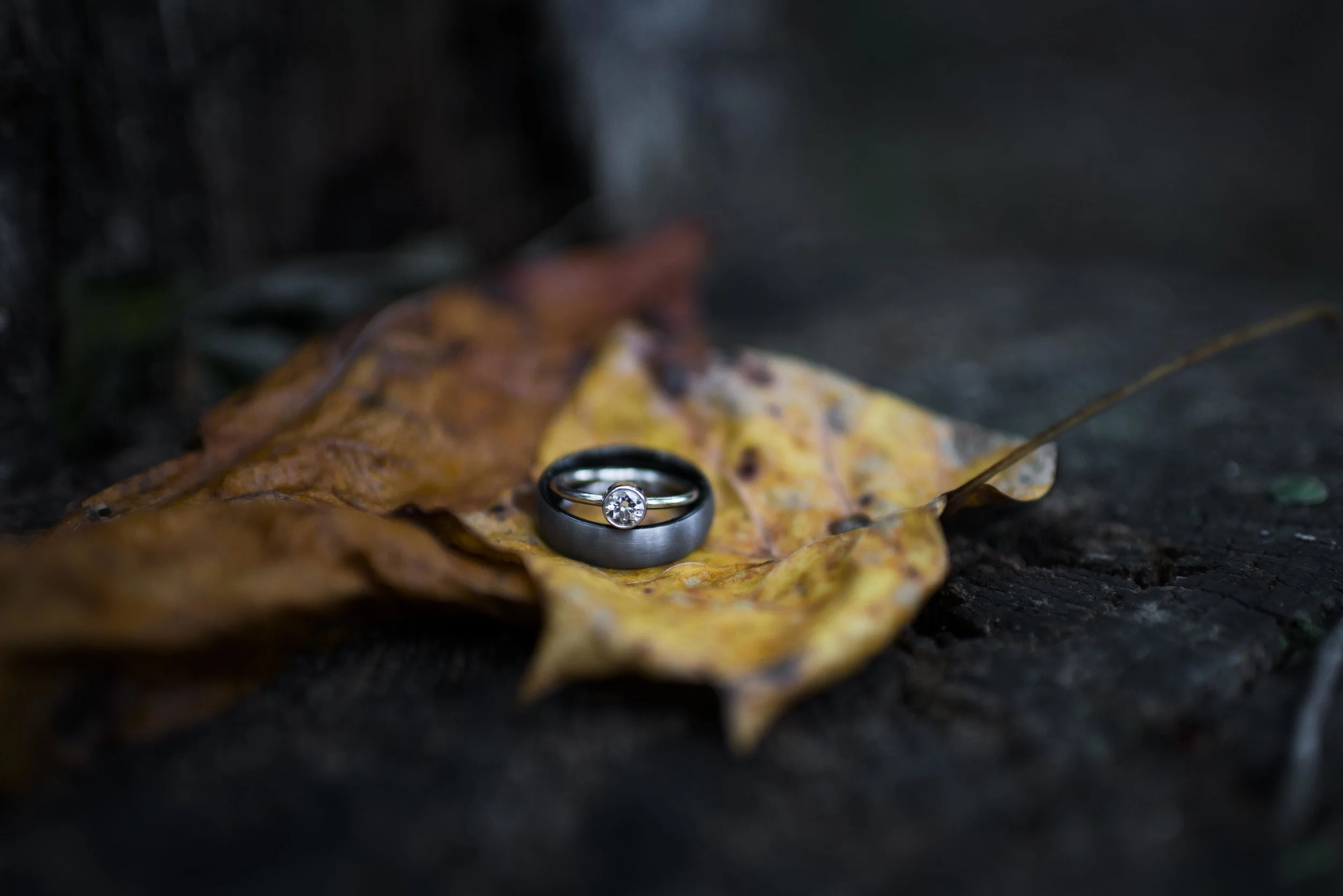 MPP_6307.jpg