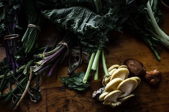 Summer Kentucky still life pt. 2.