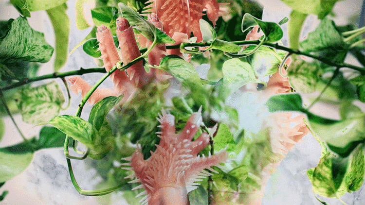 plantasia3.gif
