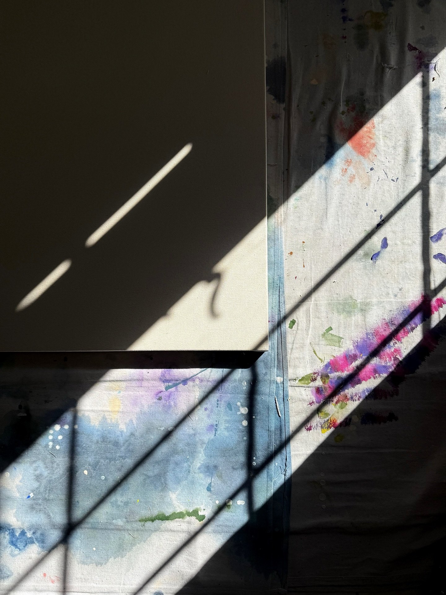 Morning studio light is its own masterpiece. ✨