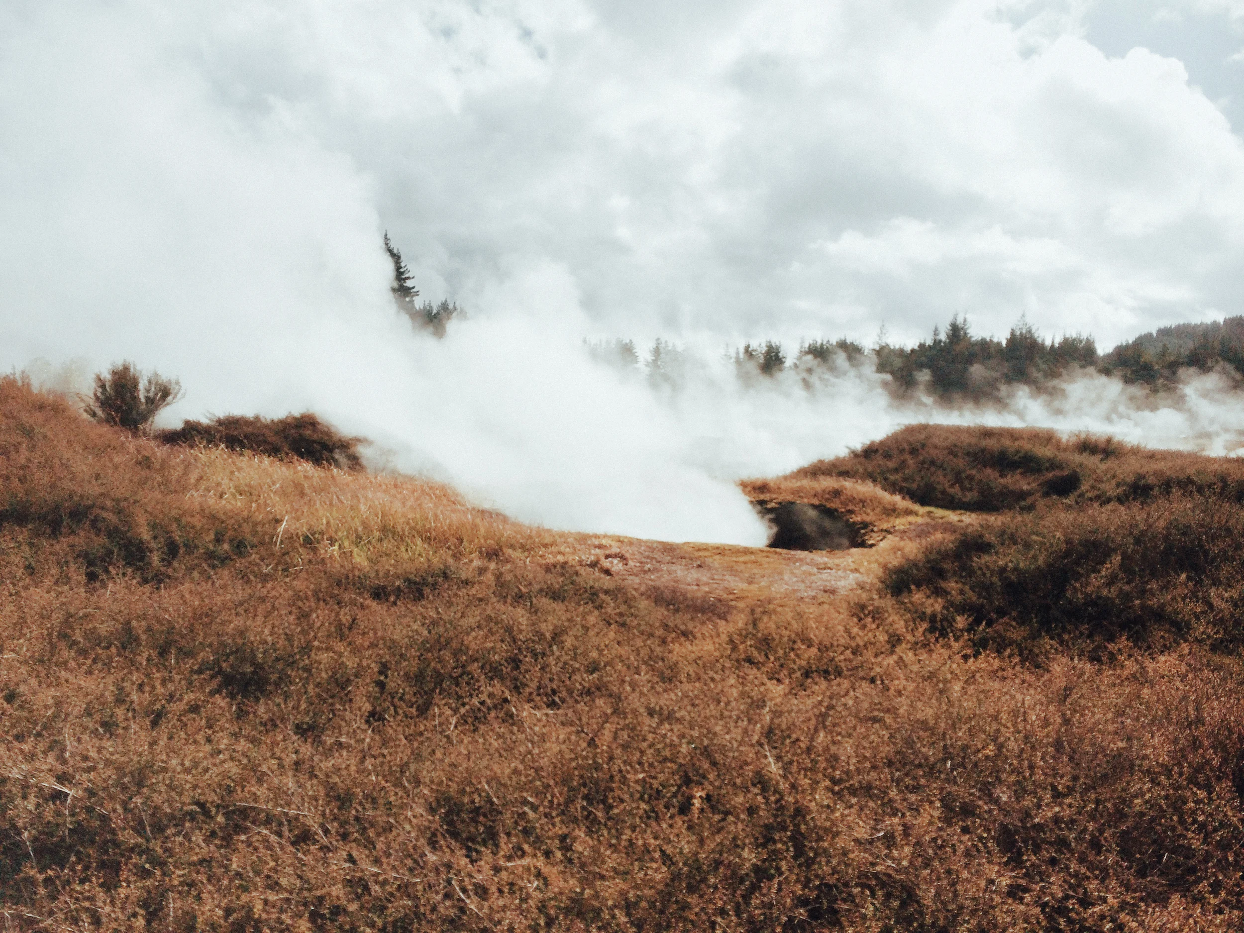 Craters of the Moon by Helena Marie Fletcher