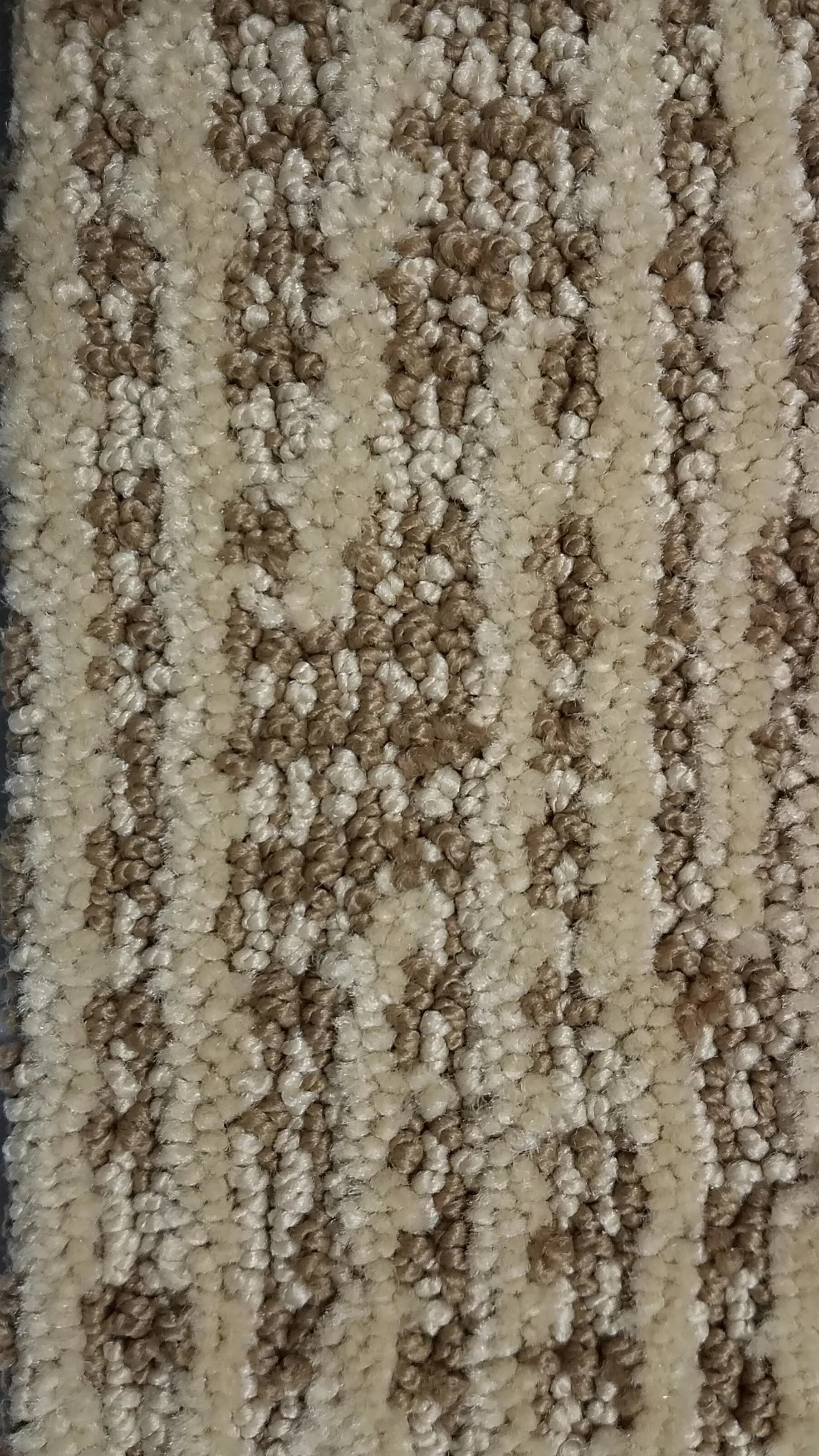 20191014_103616.jpg