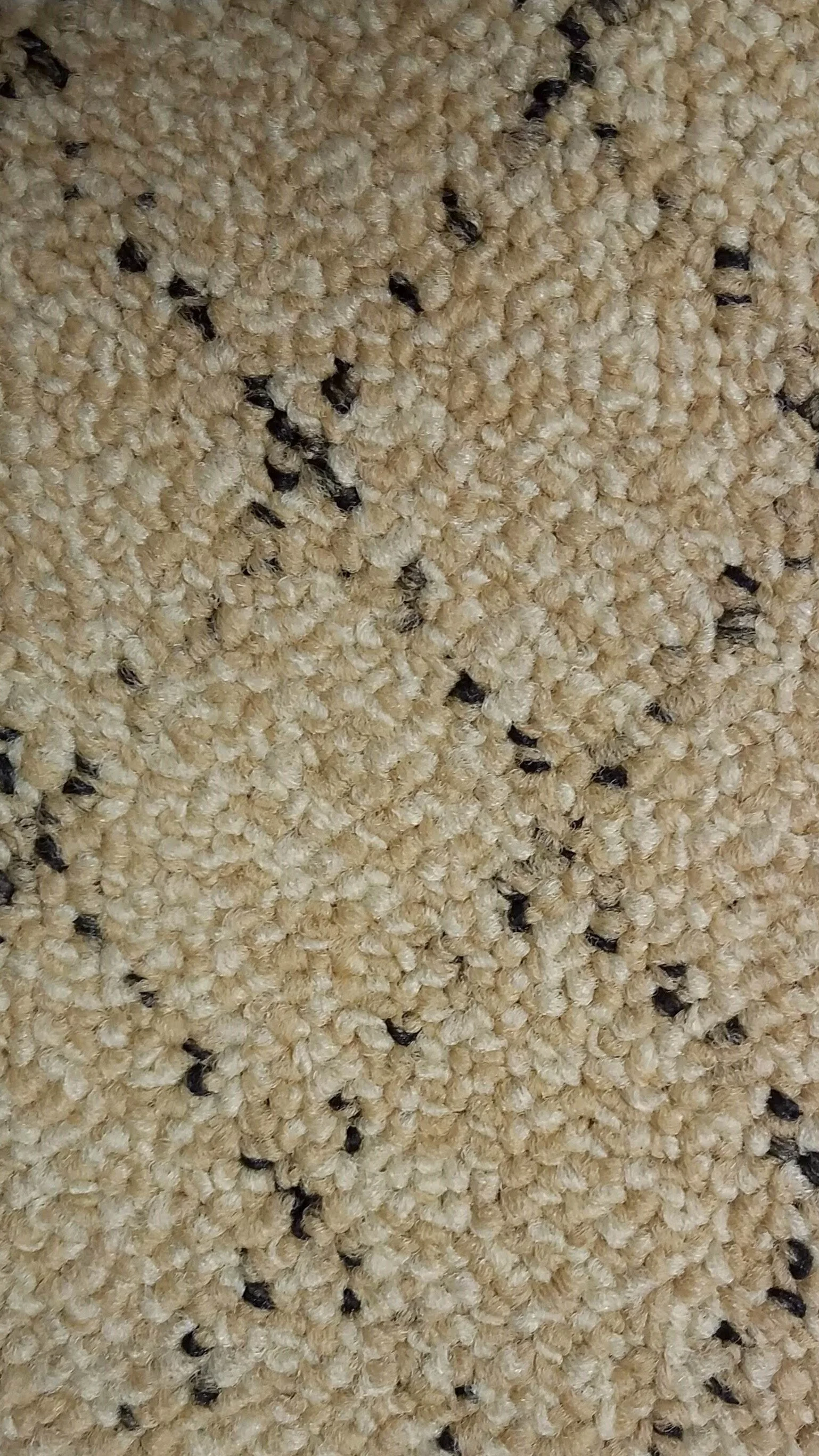 20191014_103815.jpg