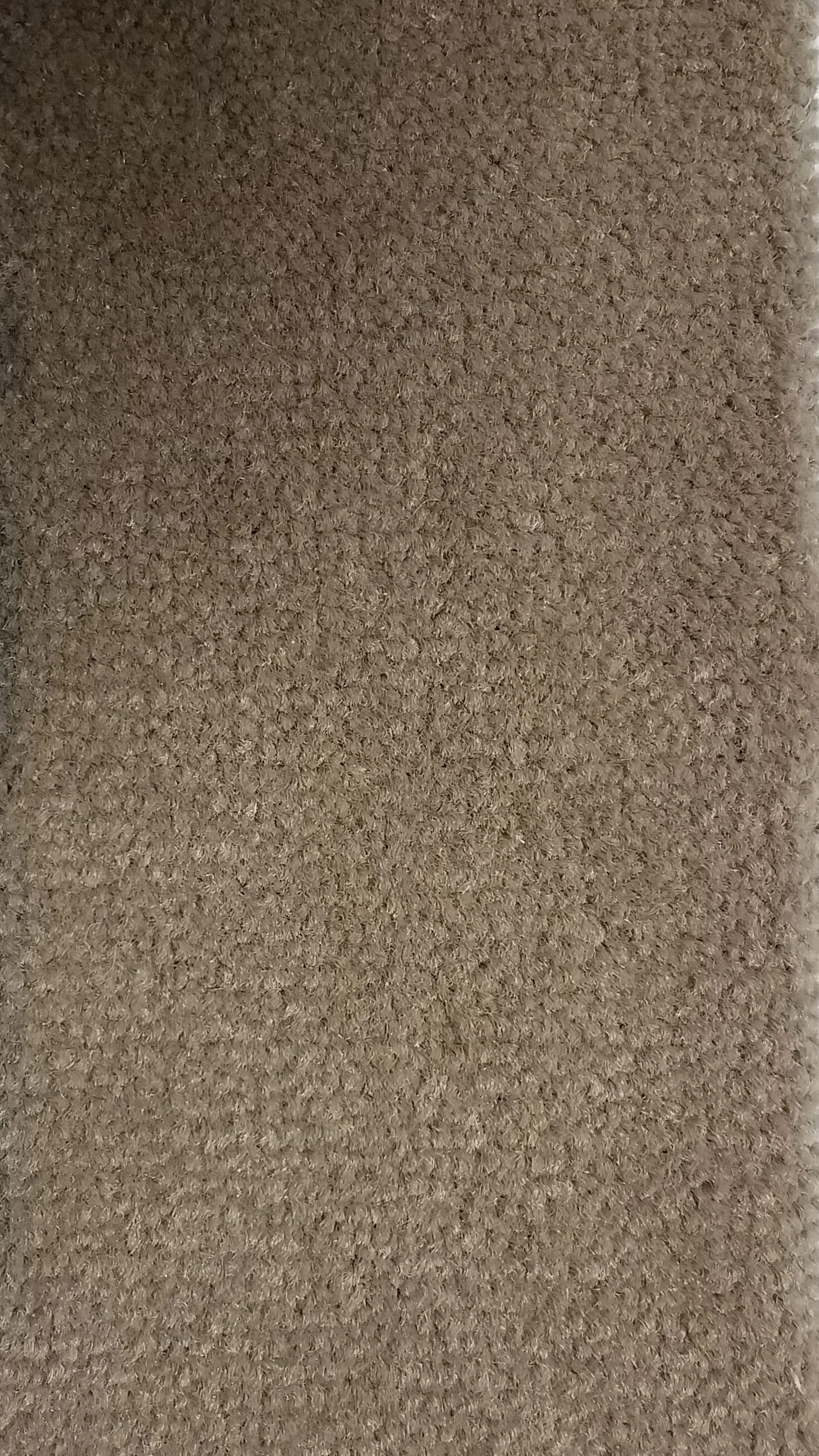 Emphatic 30 - Clay Bisque