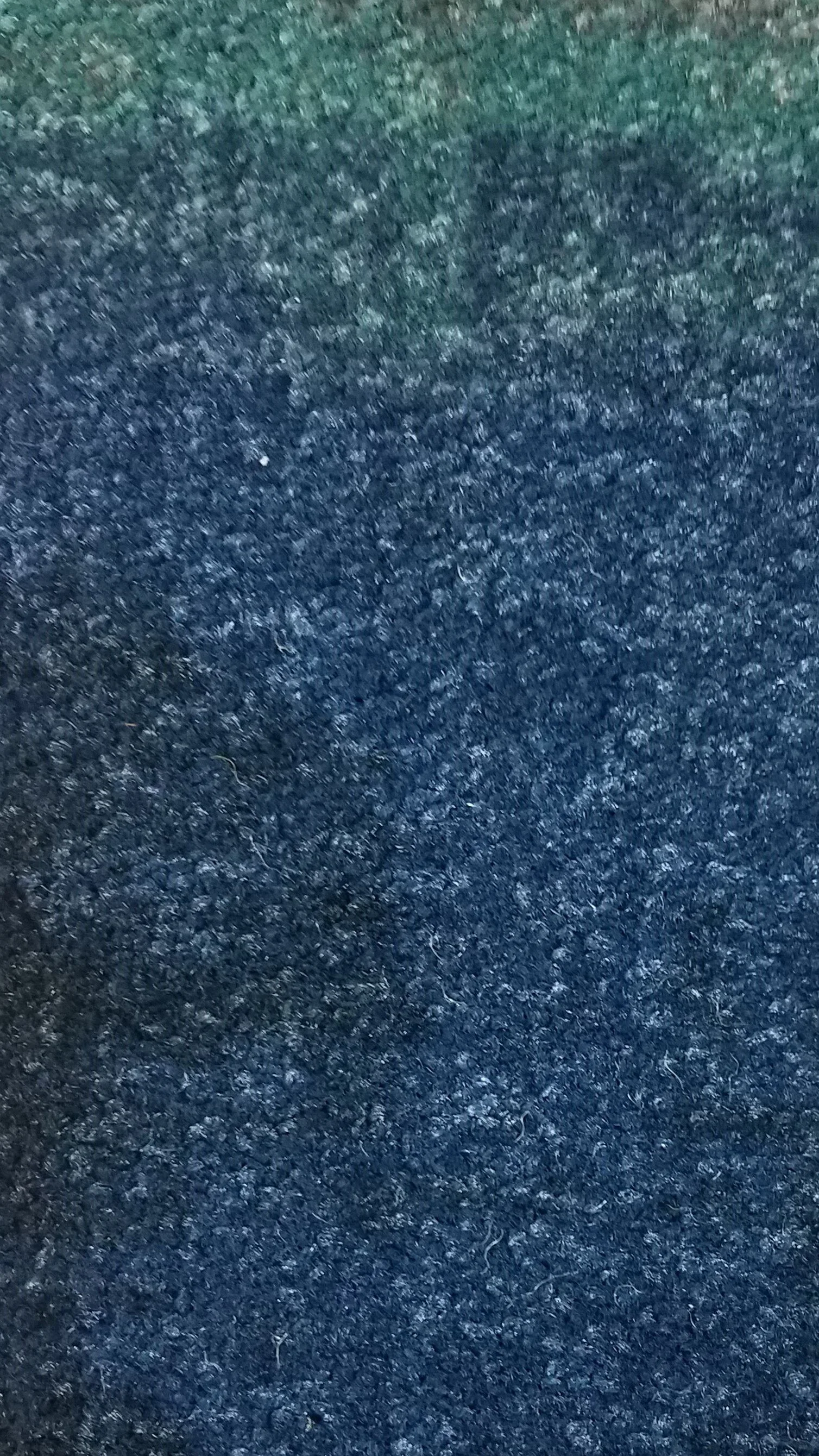 Pacific City - Aquarium