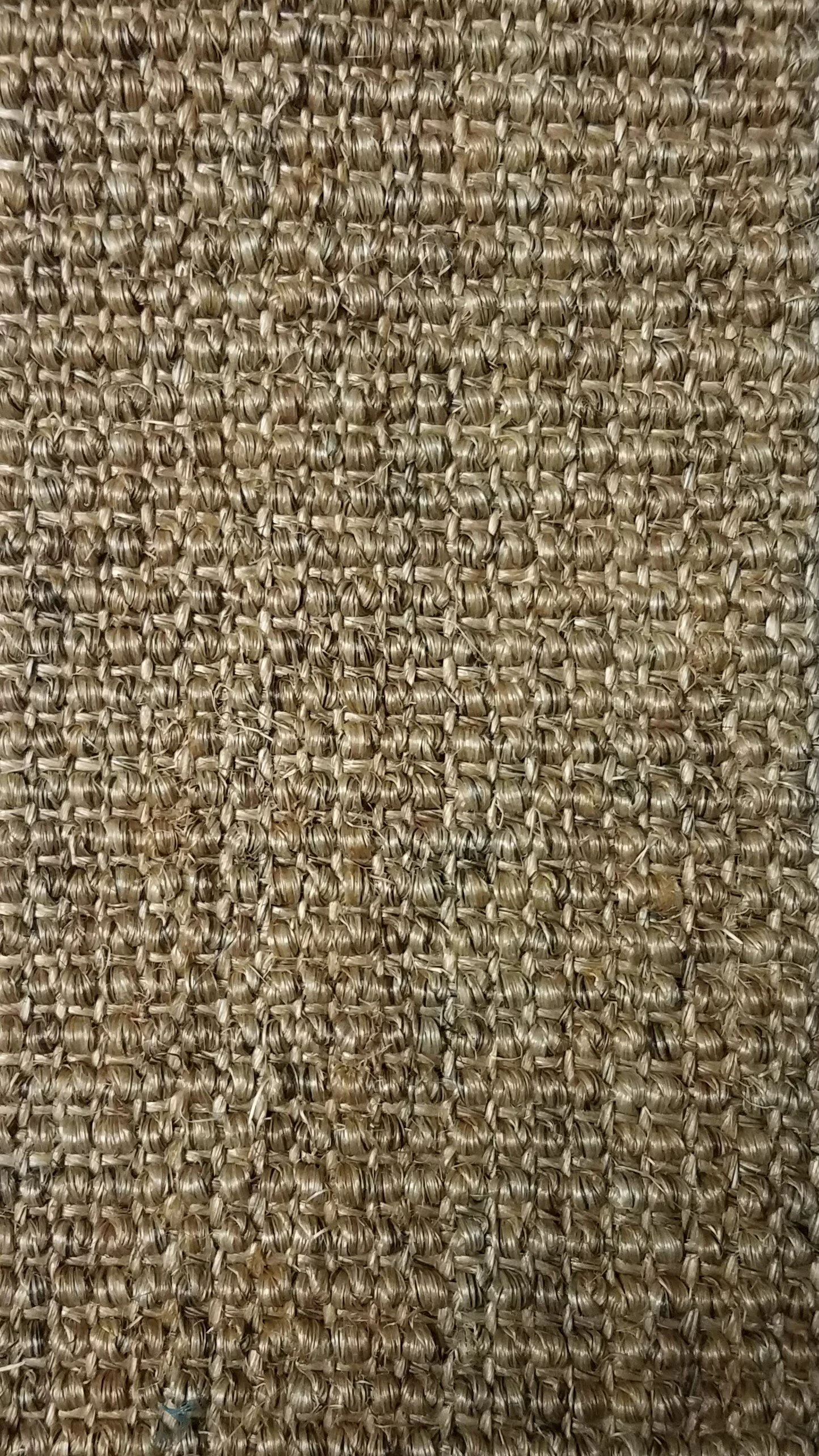 Truly Sisal - Natural.jpg