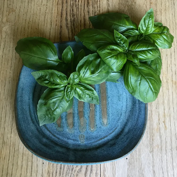 plates — Lulu Ceramics