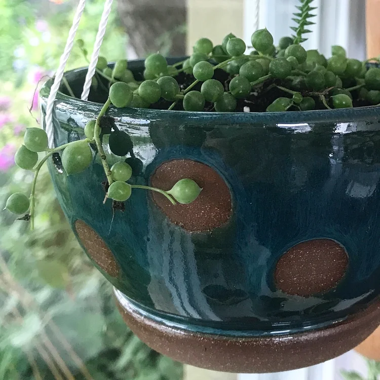 lulu陶器 plants — Lulu Ceramics