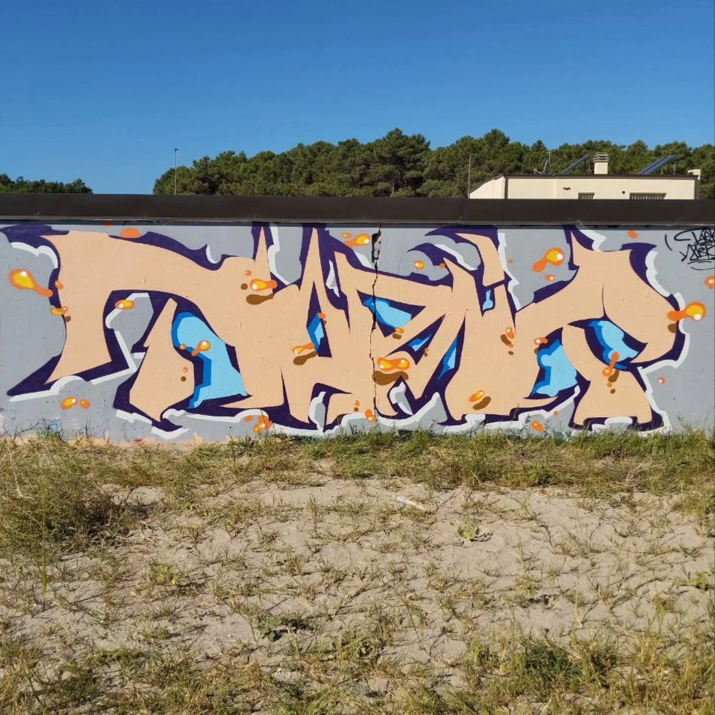 New @jurassic_tark 
.
.
.
.
.
.
.
#graffiti #graffs #spraycans #writing #sprayart #colors #blue #graffphotography #graffitiart #graffitiwall&nbsp; #graffitiporn #tark  #mbts #modernbrutality #urbangraffiti #urbanwalls #itagraffiti #jam  #graffitiworl