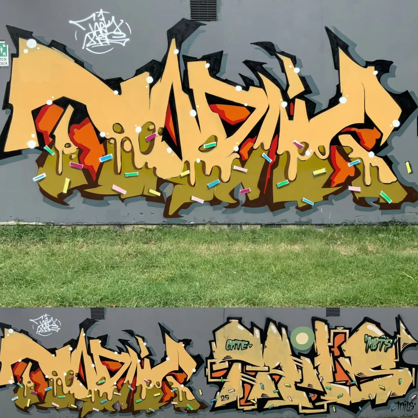 The BOMBTRIP!
@jurassic_tark @tails.in.the.details
.
.
.
.
.
.

#graffiti #graffs #spraycans #writing #sprayart #colors #romagnagraffiti #graffphotography #graffitiart #graffitiwall&nbsp; #graffitiporn #spek #mbts #dissensocognitivo #dark #waffle #ma